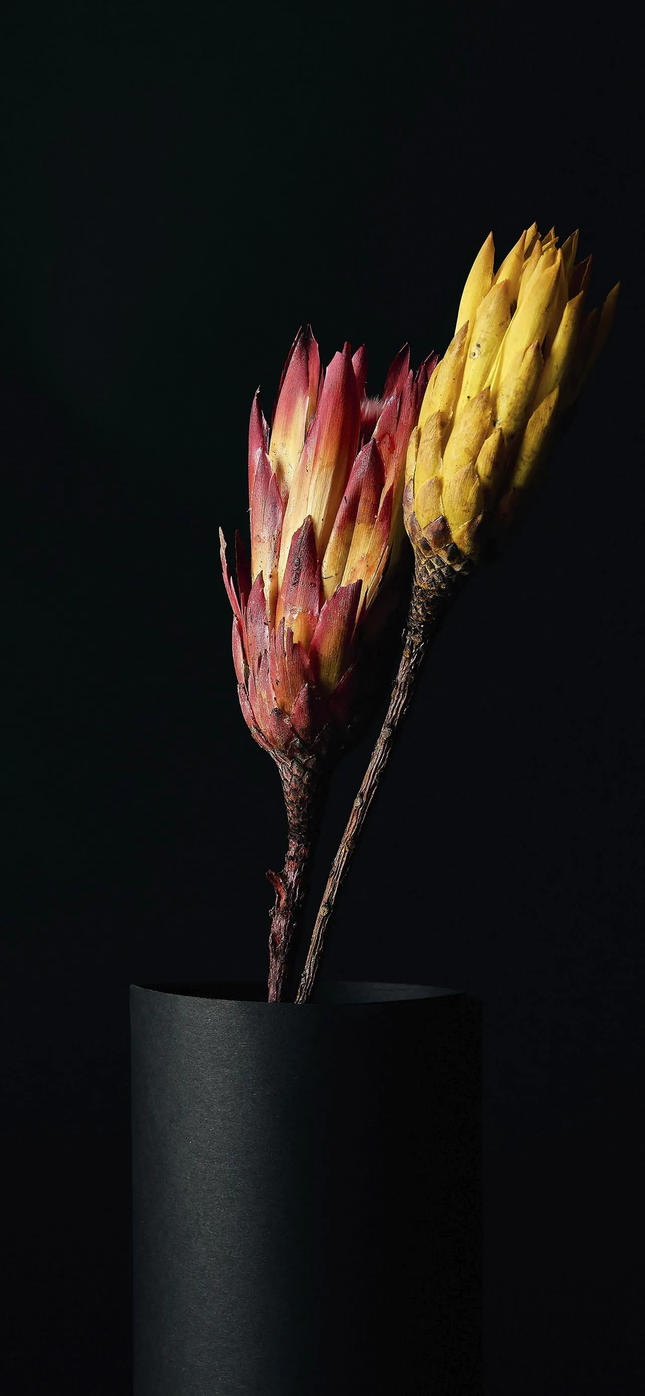 Stylish Floral Vase with Dried Yellow Flowers Wallpaper