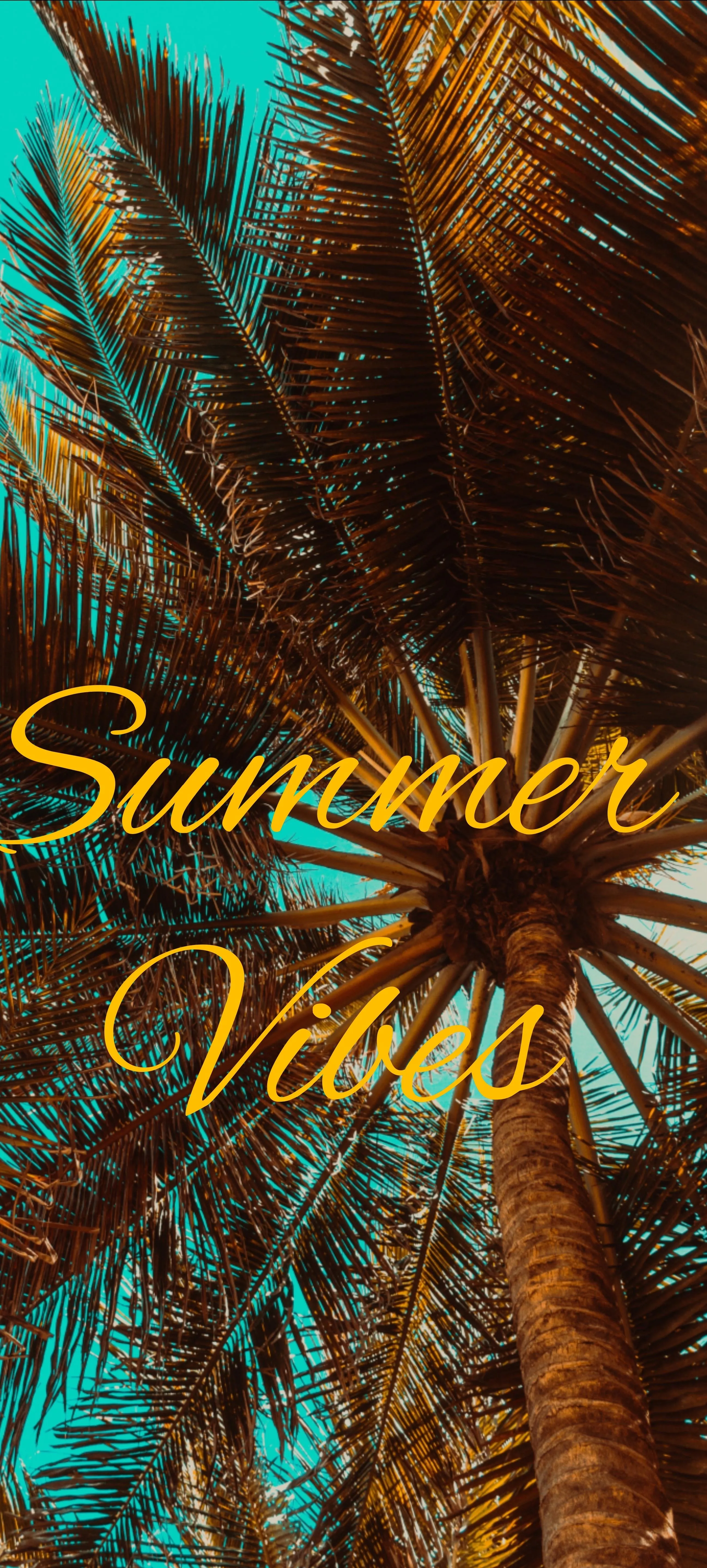 Summer Vibes Palm Leaves with Golden Text Overlay Image