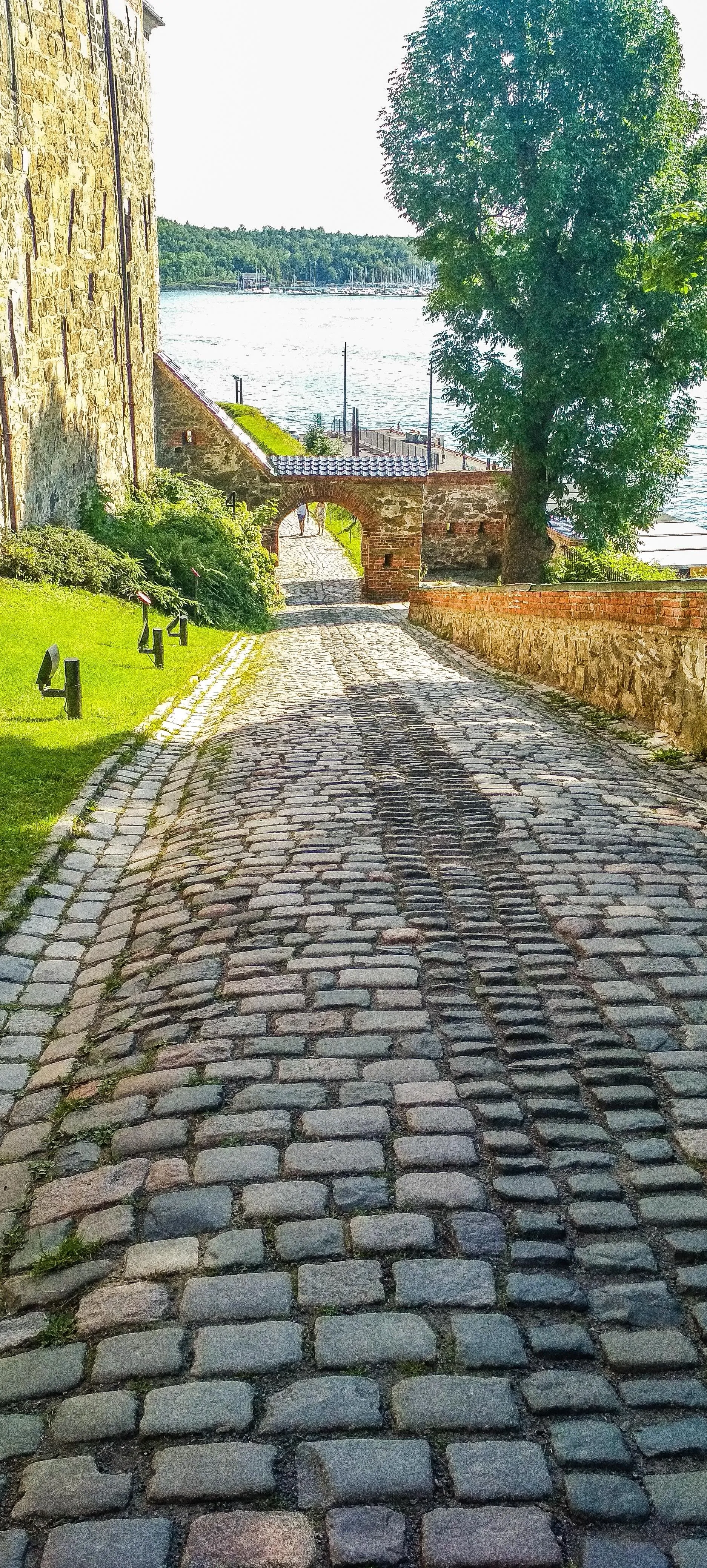 Sunny Cobblestone Path Leading To Green Trees Wallpaper