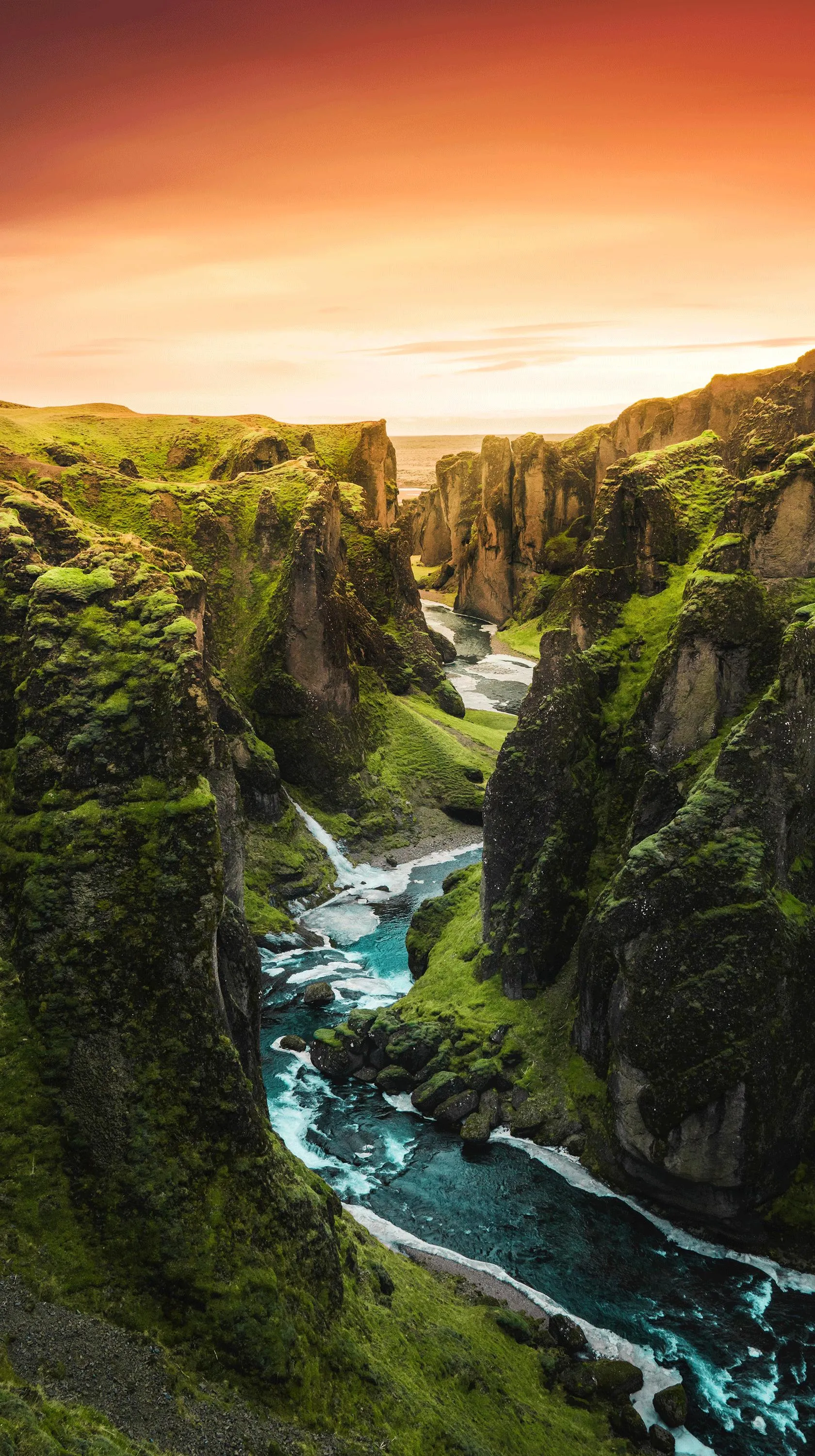 Sunrise Lighting a Lush Valley with Warm Golden Radiance