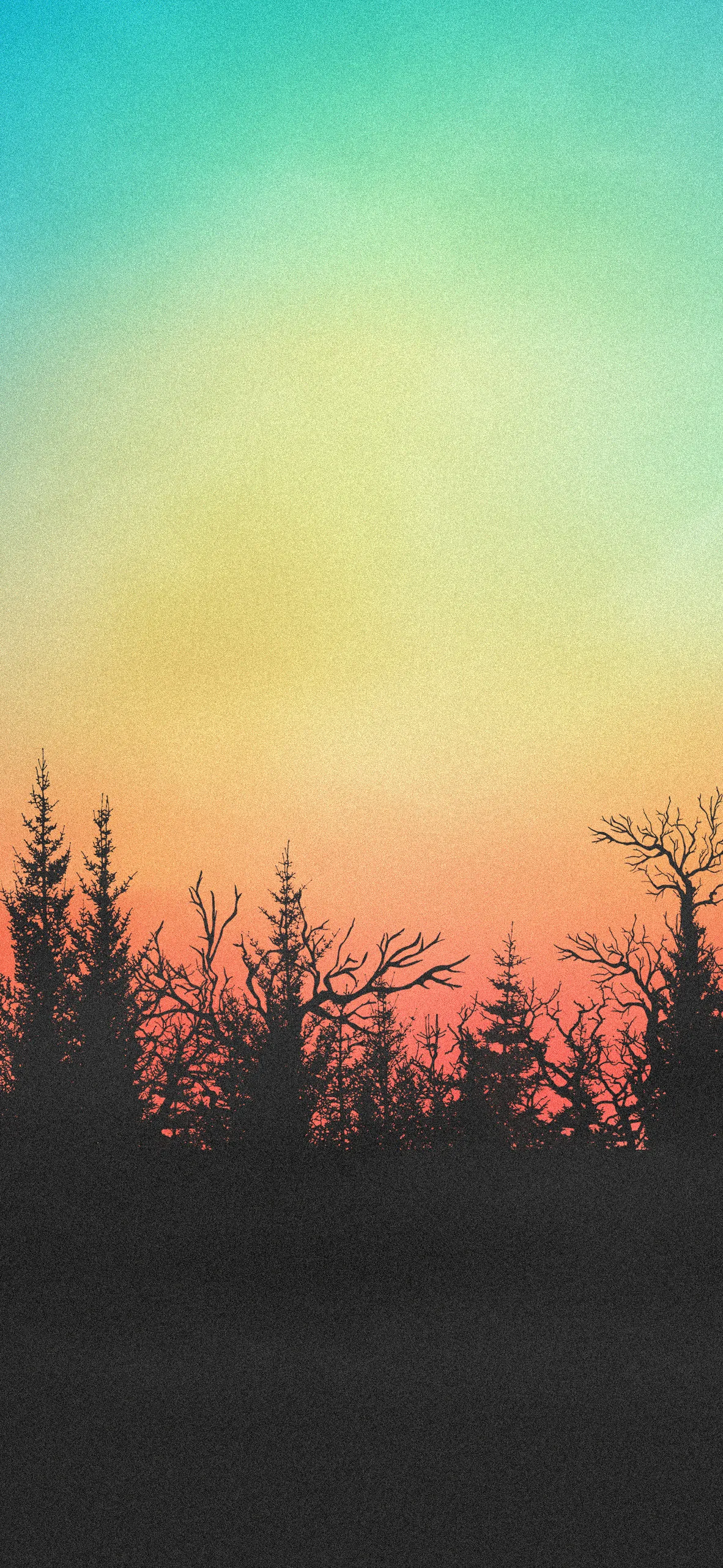 Sunset Over Forest Tree Line for Calm and Dreamy Aesthetic