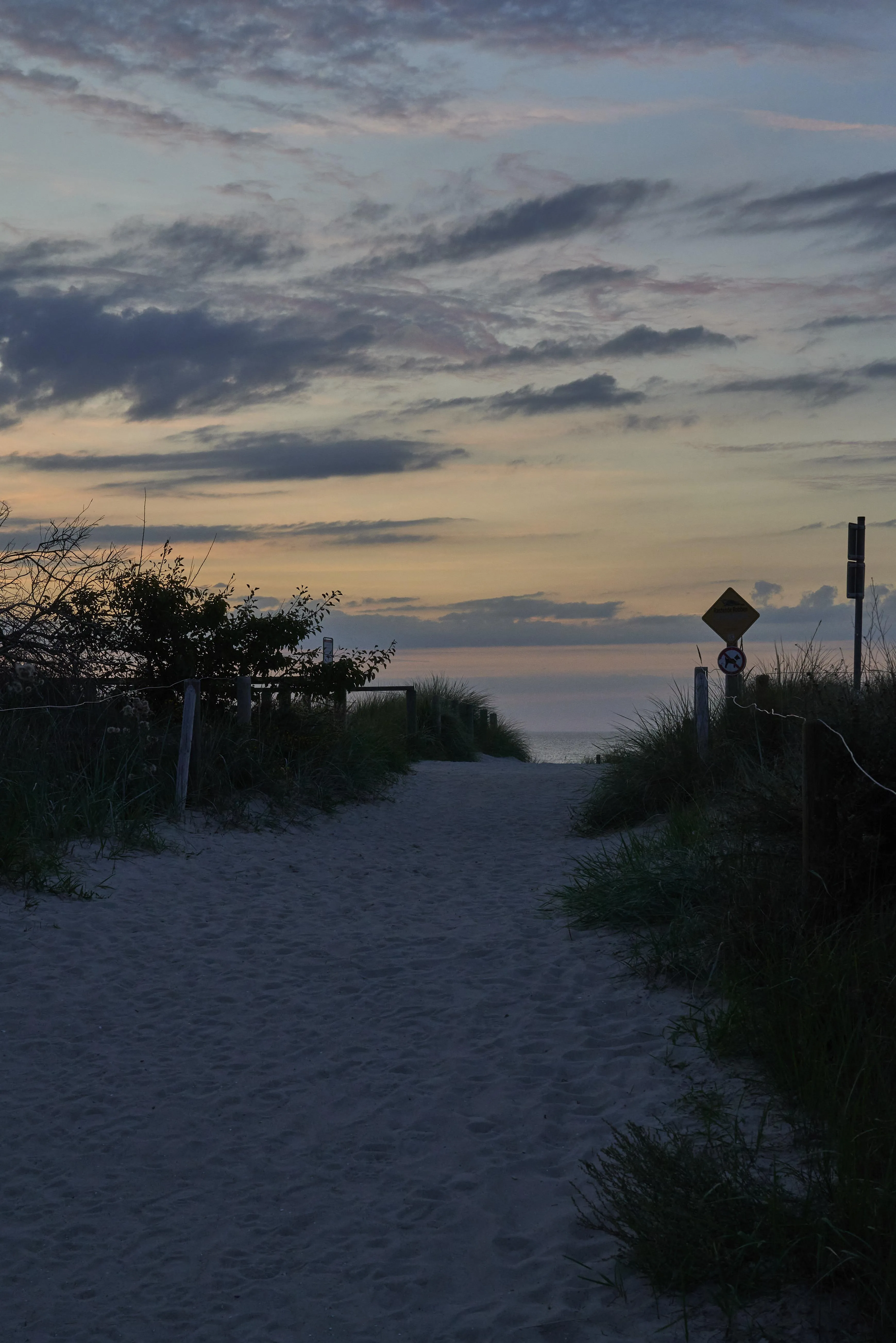 Sunset Walk on The Beach with Silhouetted Trees Image