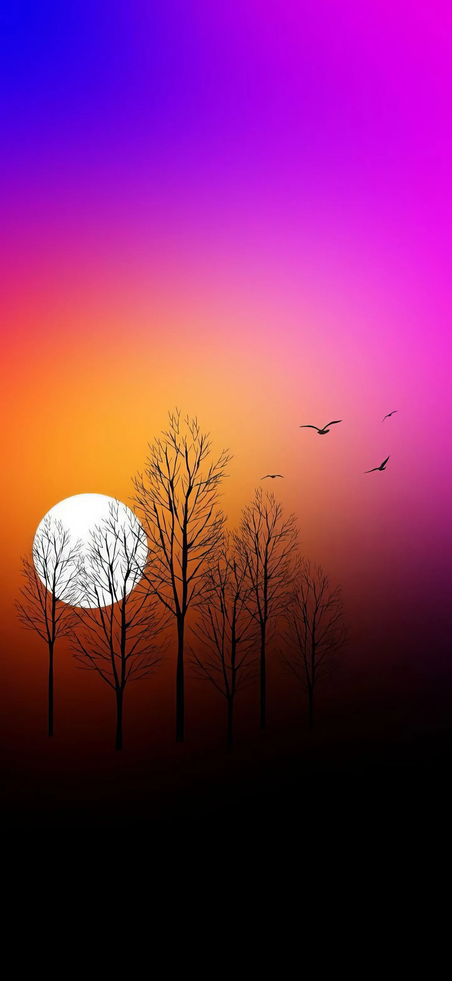 Sunset with Purple Sky and Tall Grass Soothing Evening