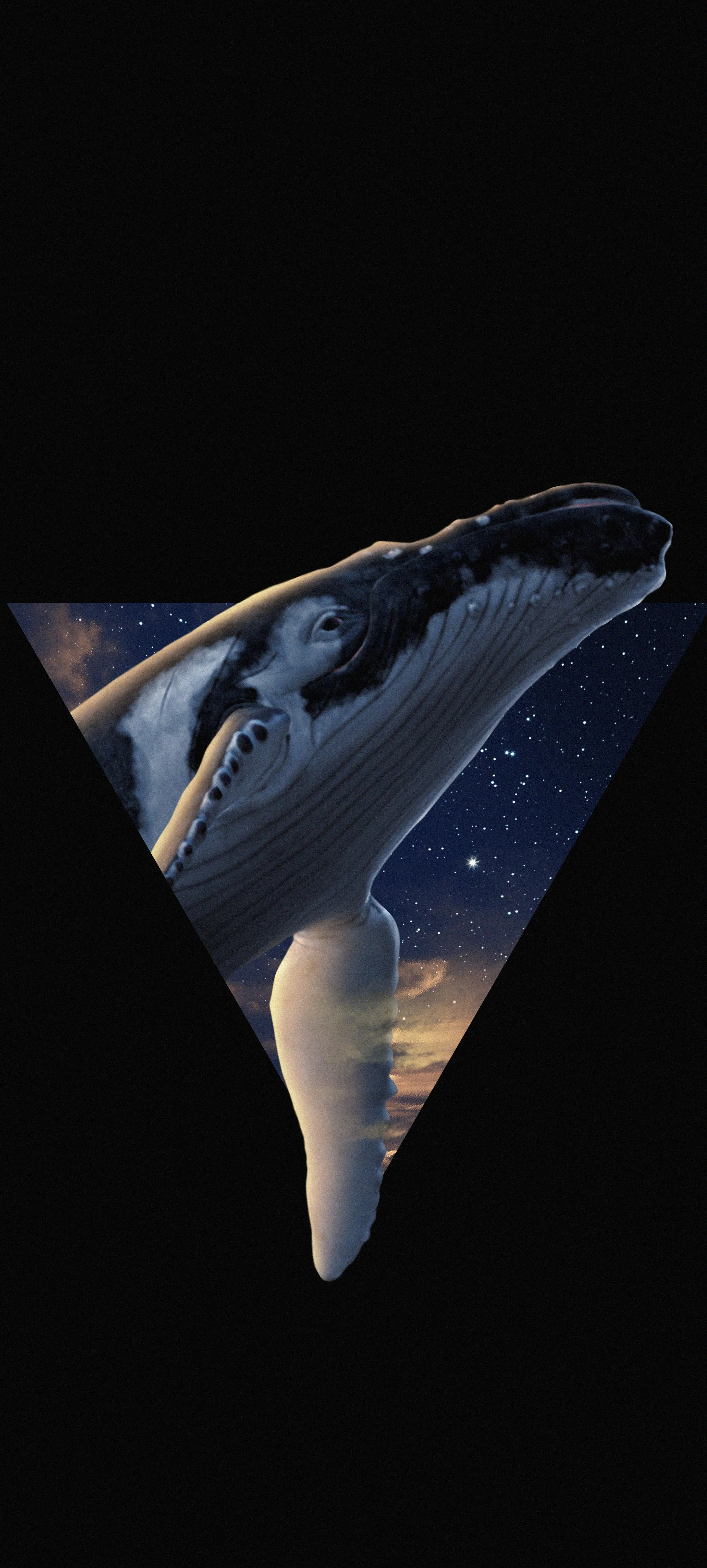 Surreal Whale Illustration Blending Ocean and Galaxy Image