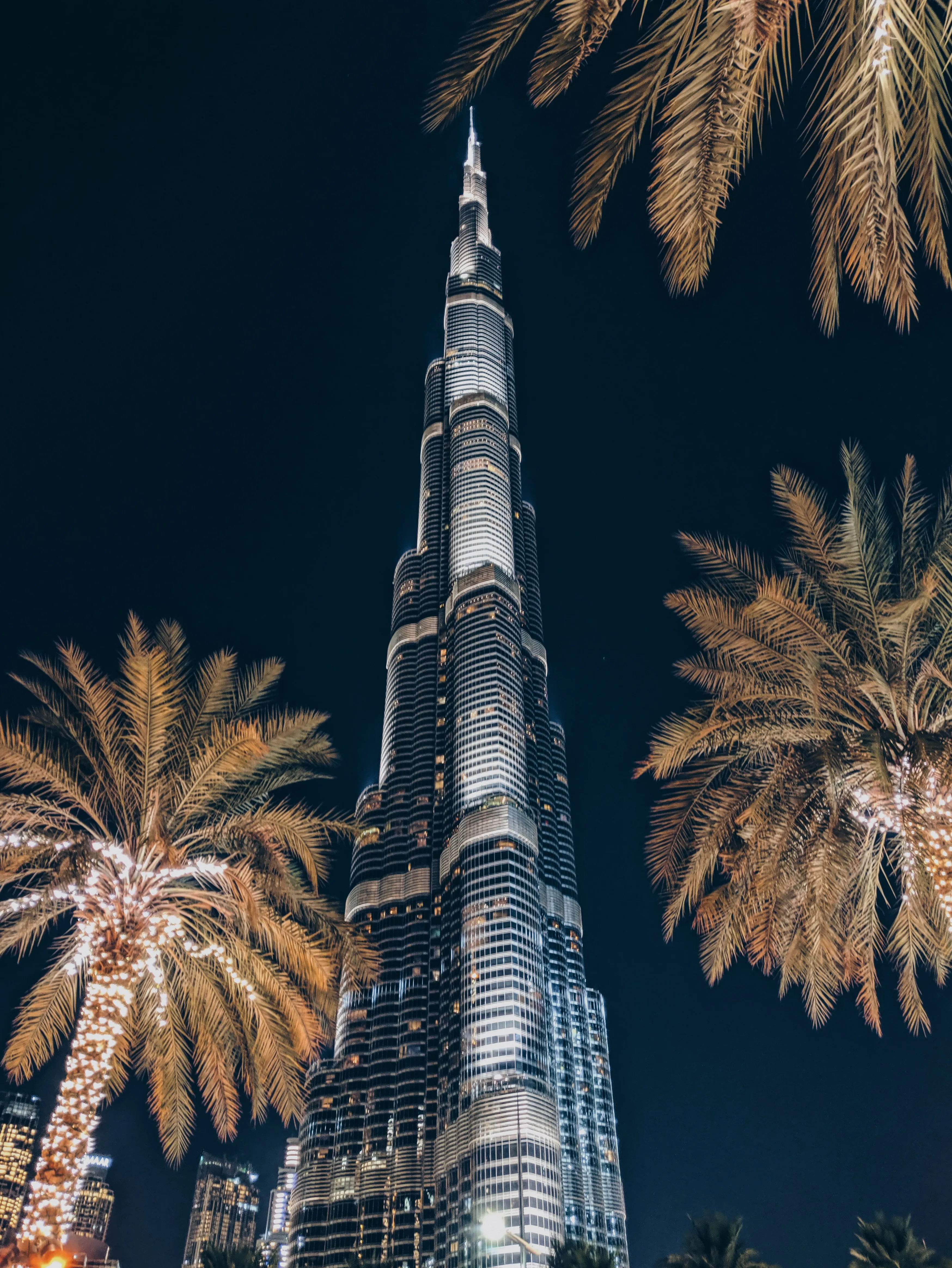 Tall Illuminated Skyscraper Framed by Palm Trees at Night