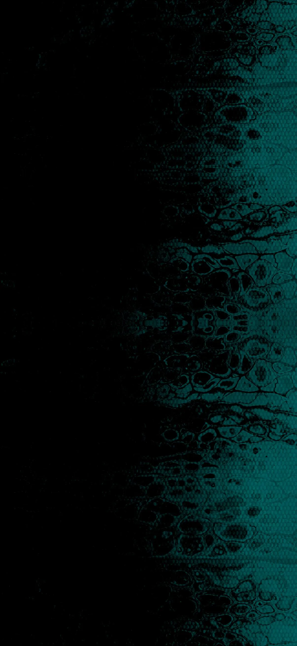 Teal Paint Particles Fading Into Solid Black Void image