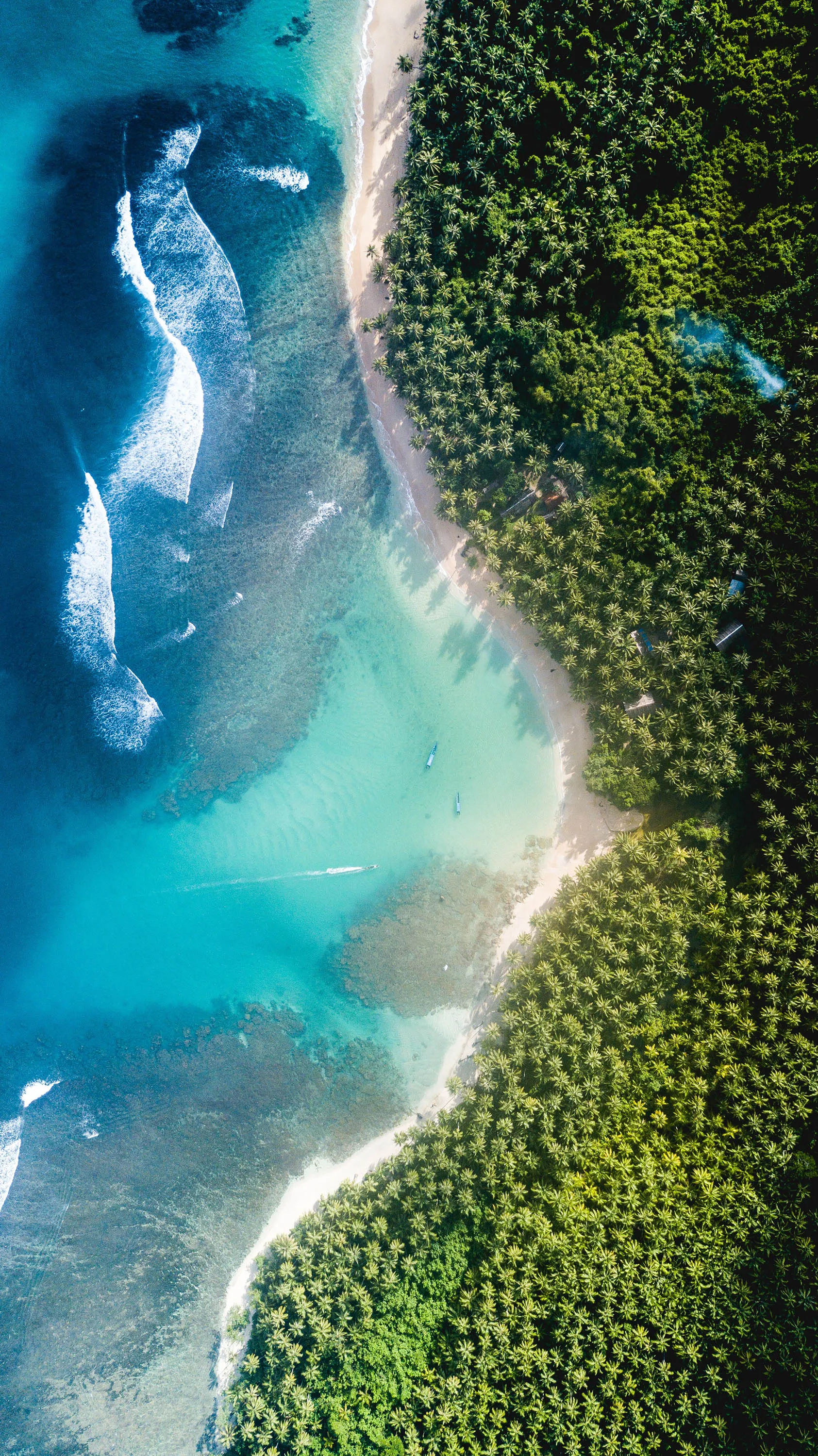 Top View of Beach with Clear Blue Water and Green Forest