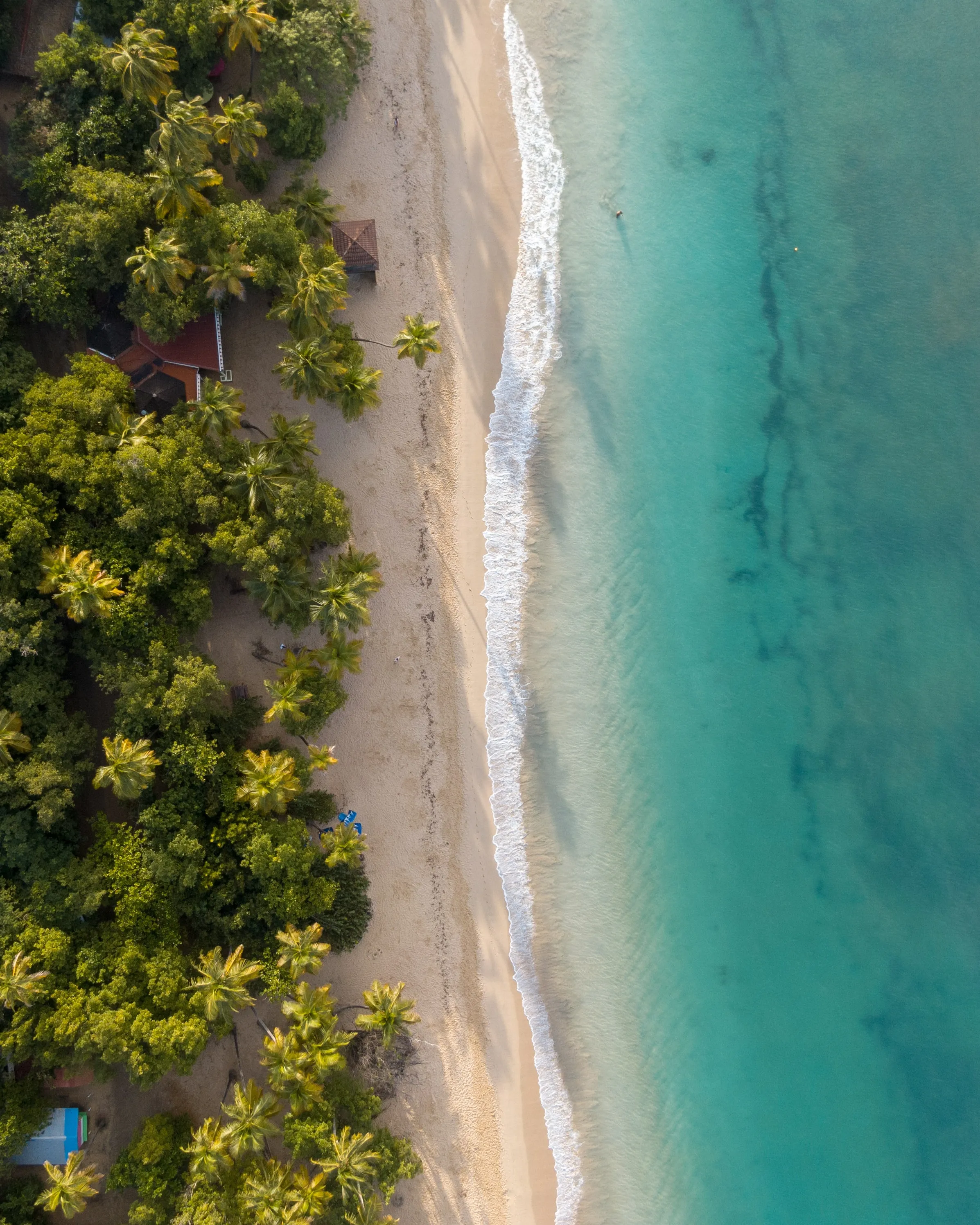 Top View of Blue Sea and White Sand Beach Wallpaper