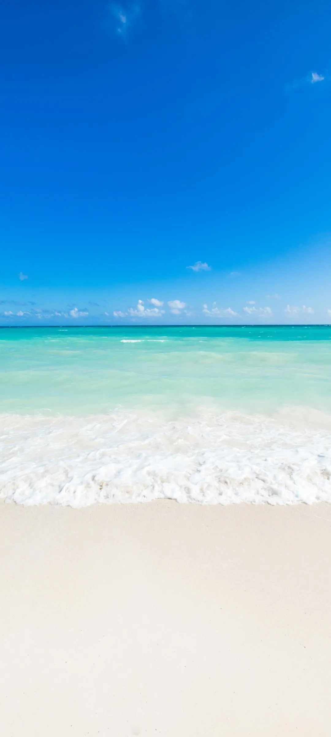 Tropical Beach Shoreline Under Bright Blue Sky View