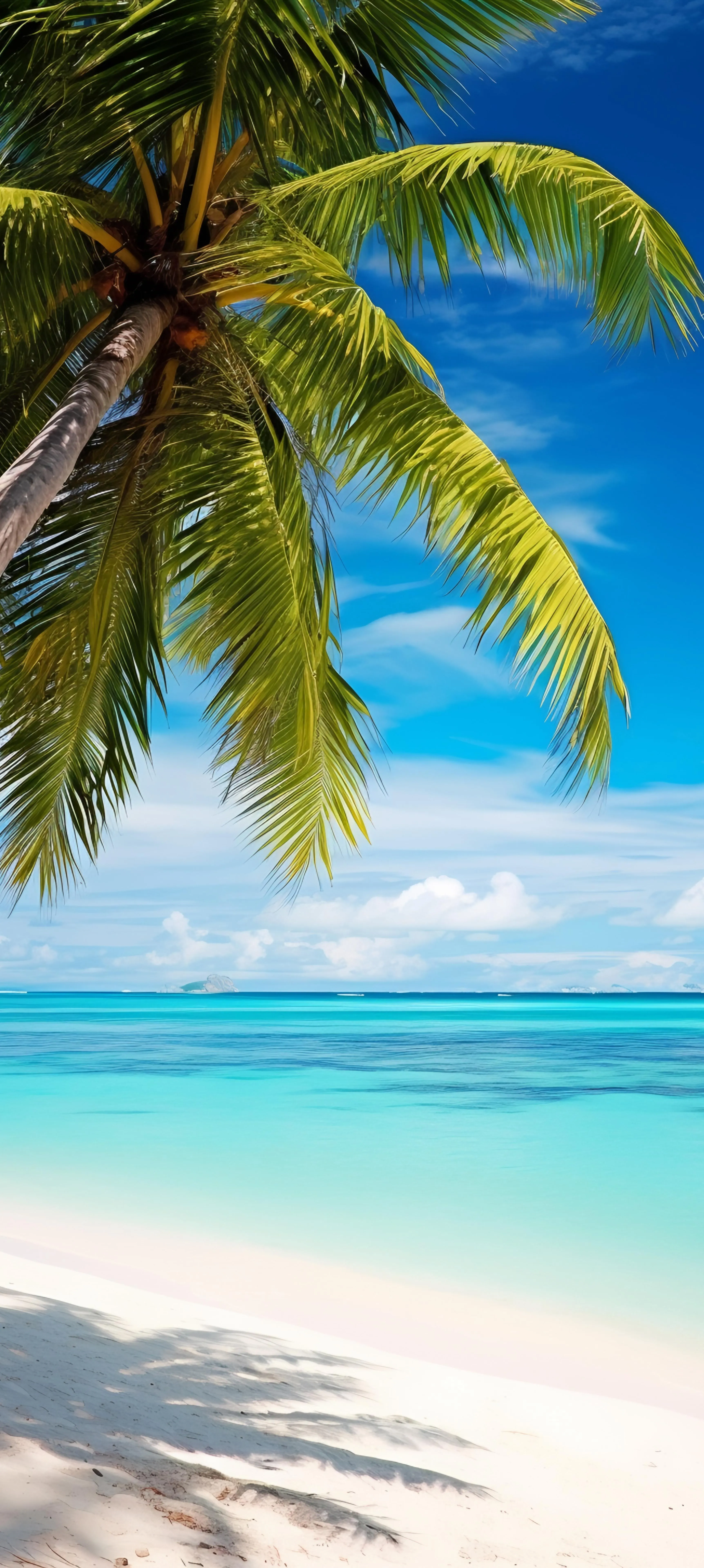 Tropical Beach with Palm Trees and Turquoise Ocean Wallpaper