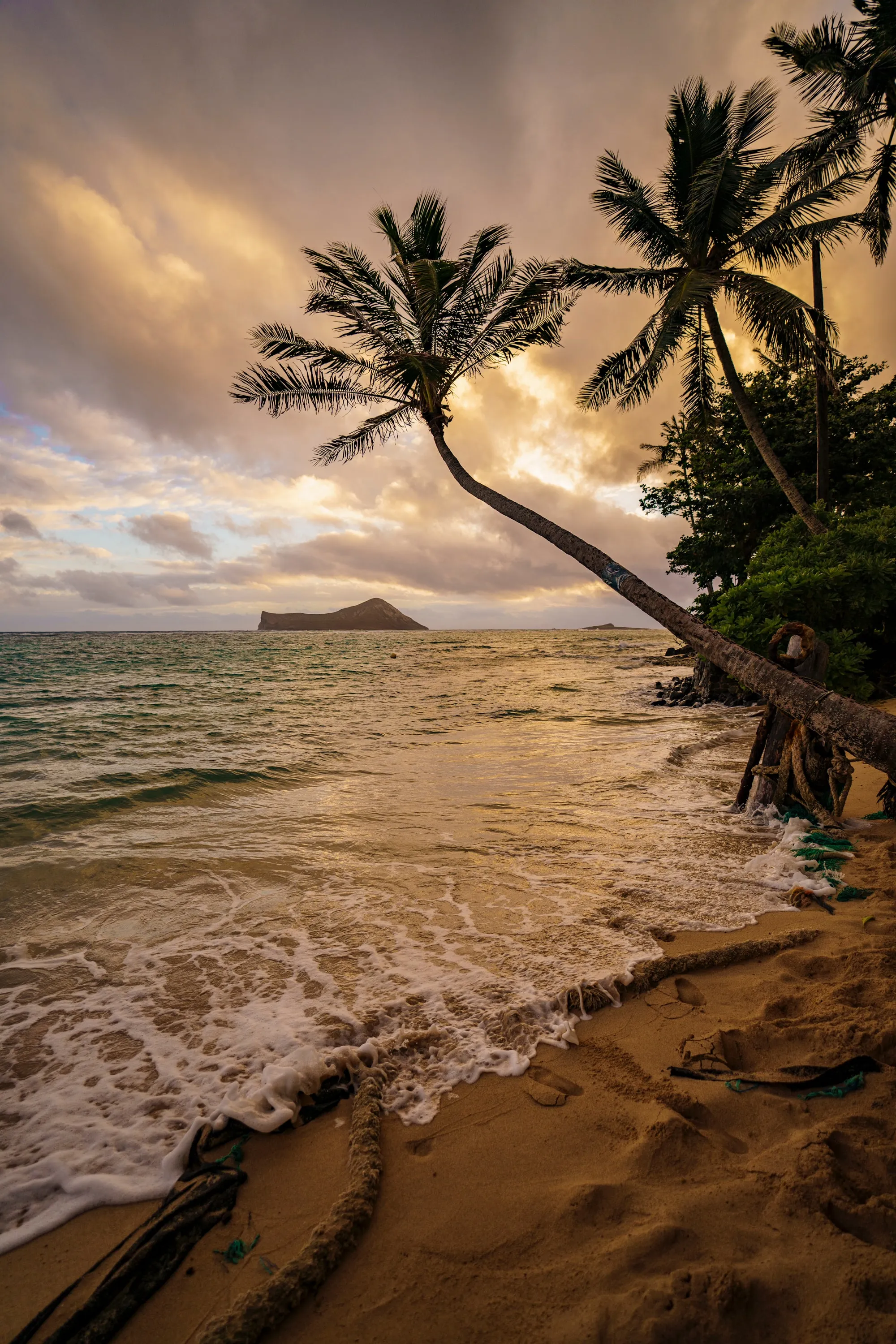Tropical Beach with Palms Under Sunset Sky Wallpaper