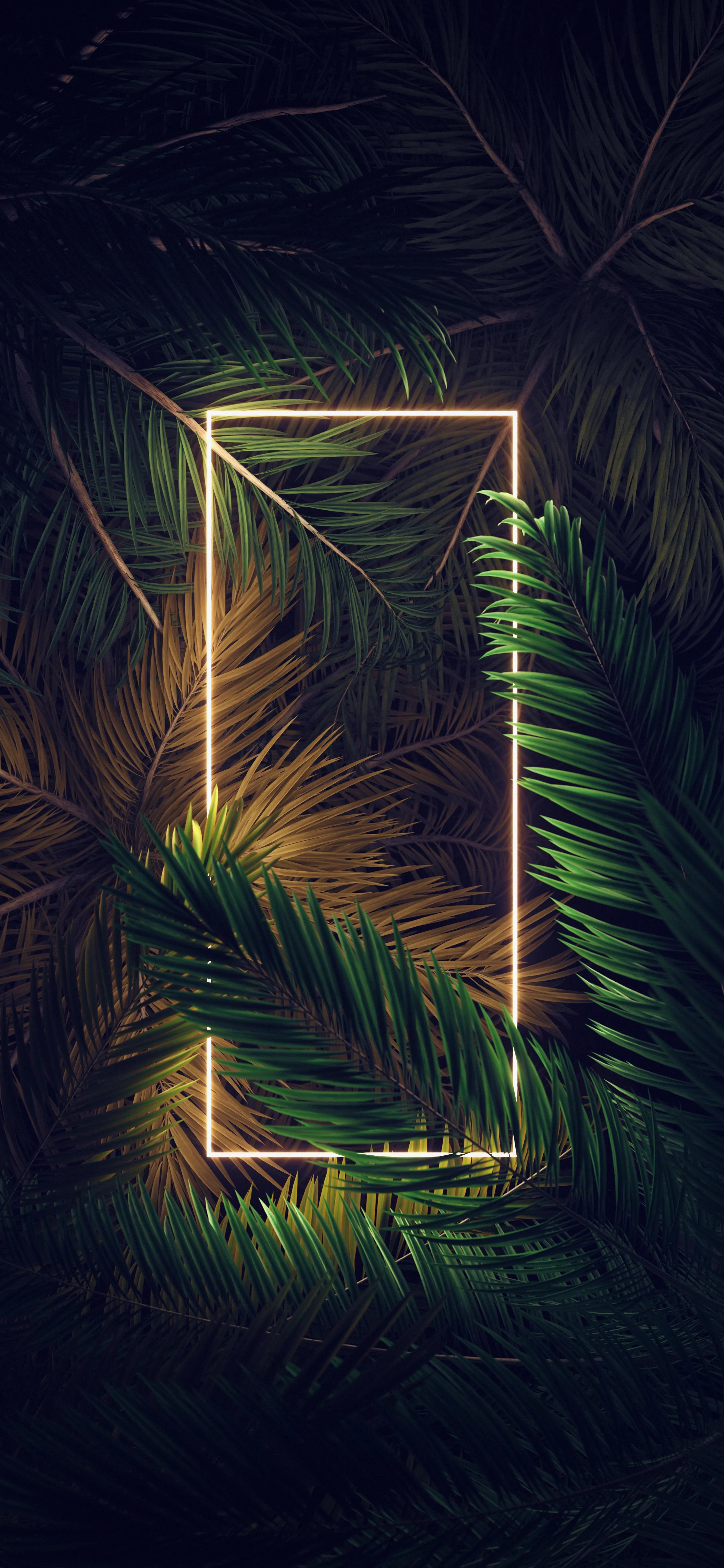 Tropical Leaves Framing a Neon Glowing Rectangle Image
