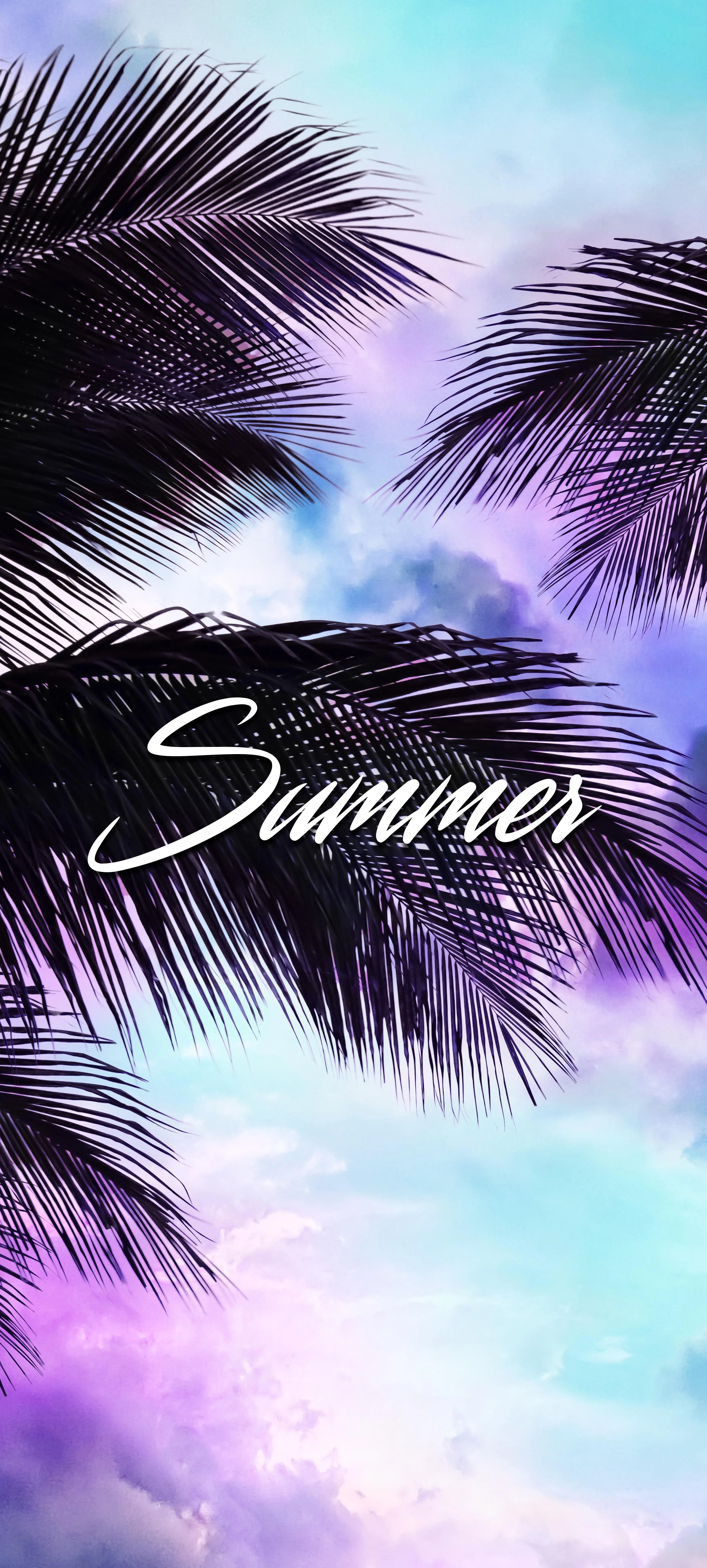 Tropical Palm Trees Against a Bright Summer Sky Wallpaper