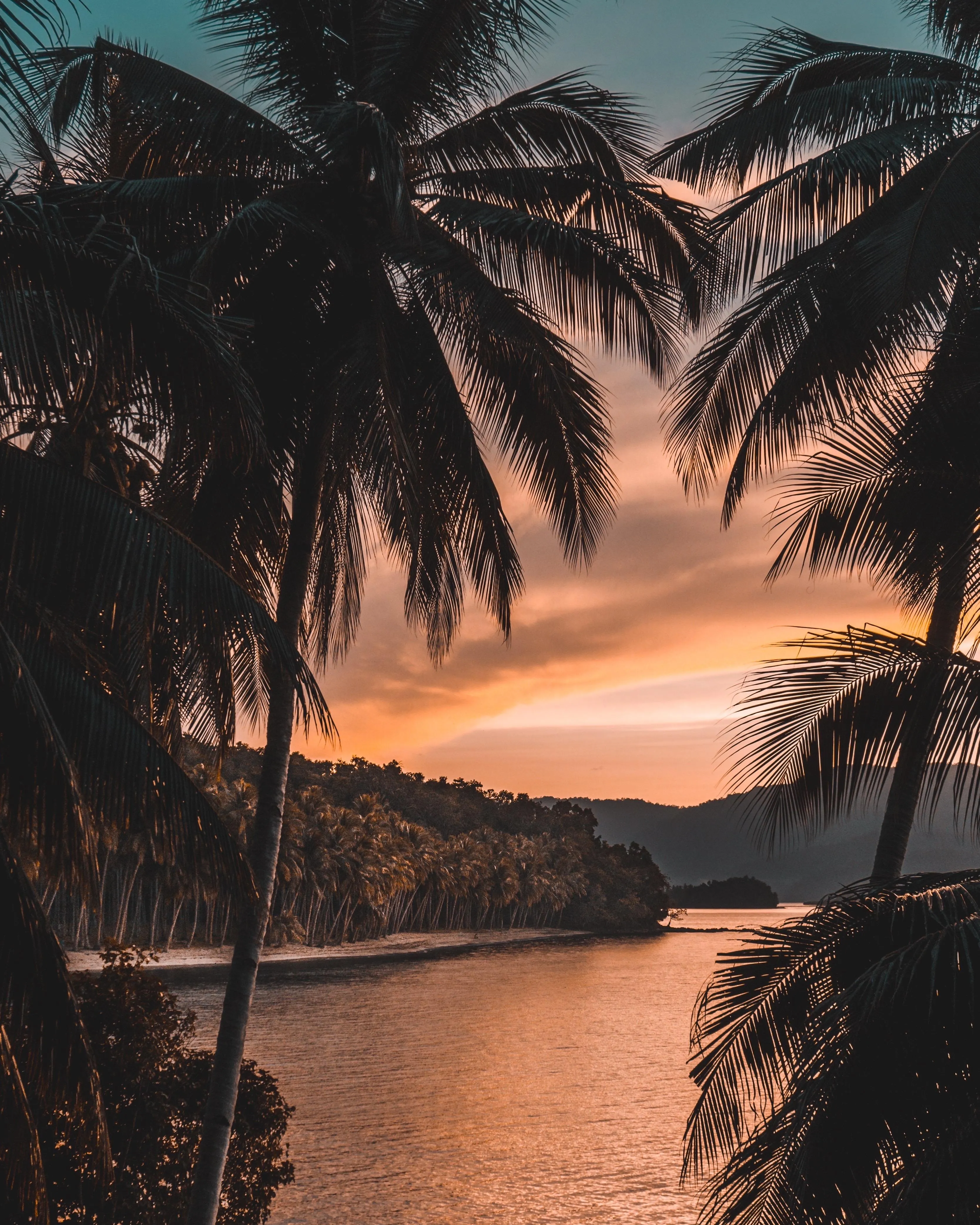 Tropical Sunset Over a River with Palm Trees Wallpaper