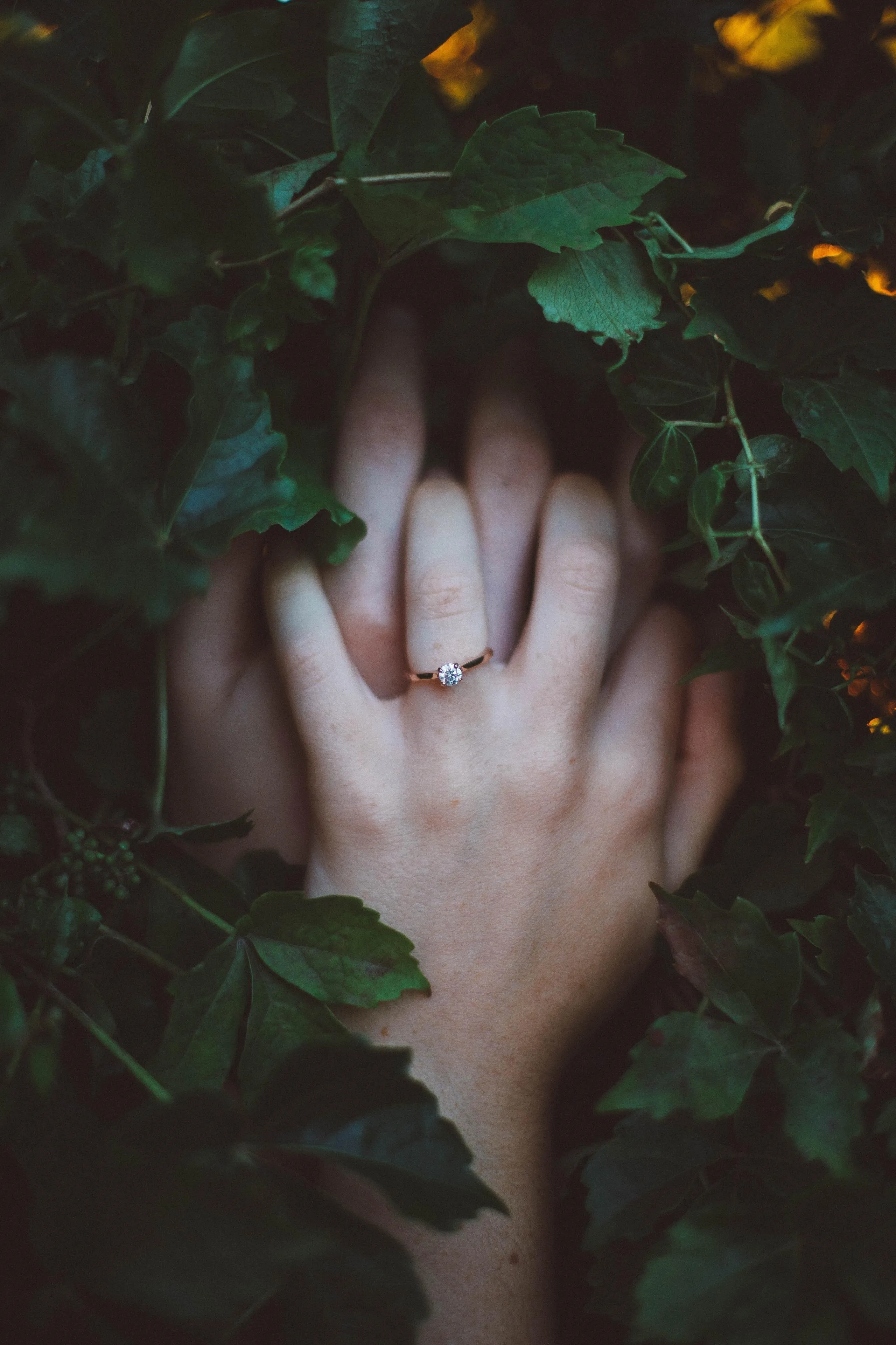 Two Hands Holding on Leaves with Dark Green Lighting