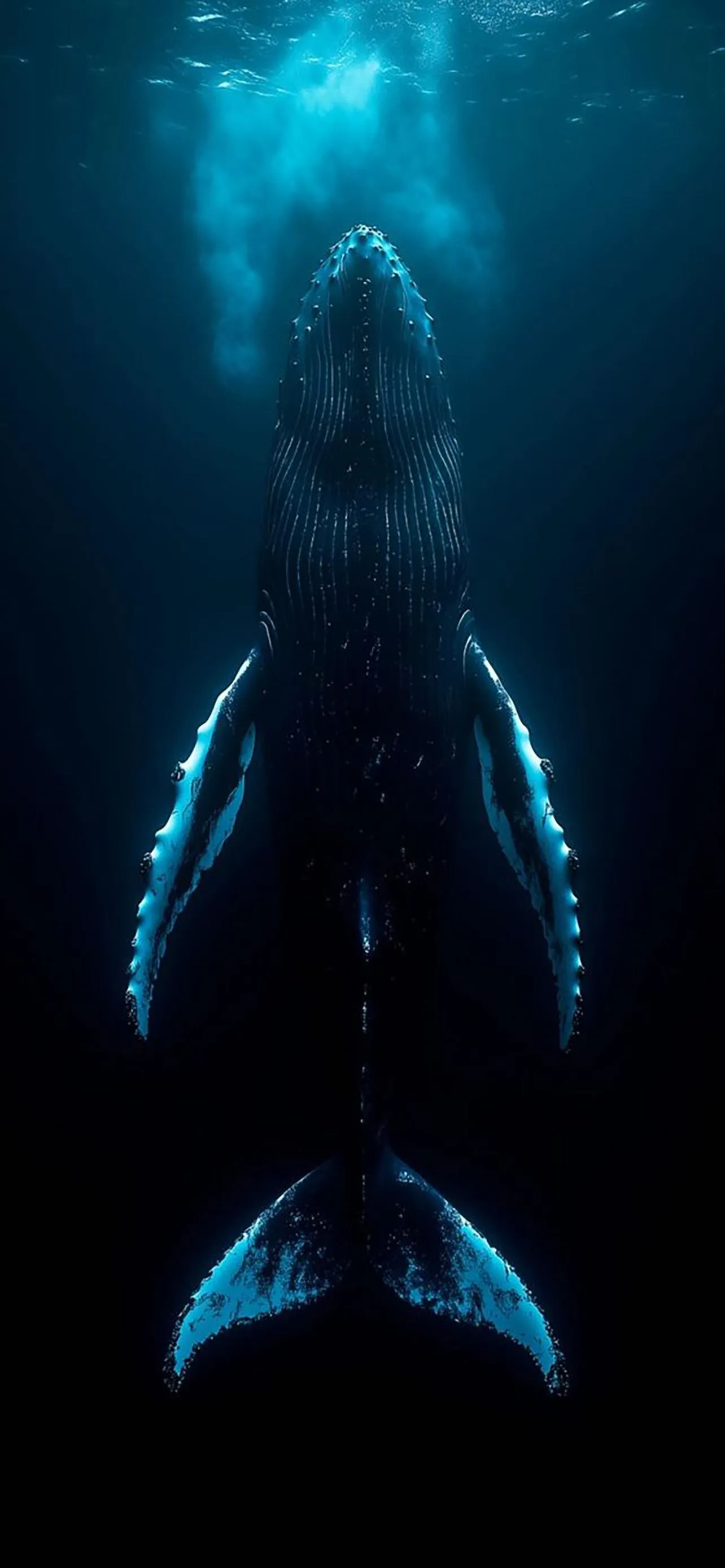 Underwater Whale Deep Ocean Dark Blue Scene Wallpaper