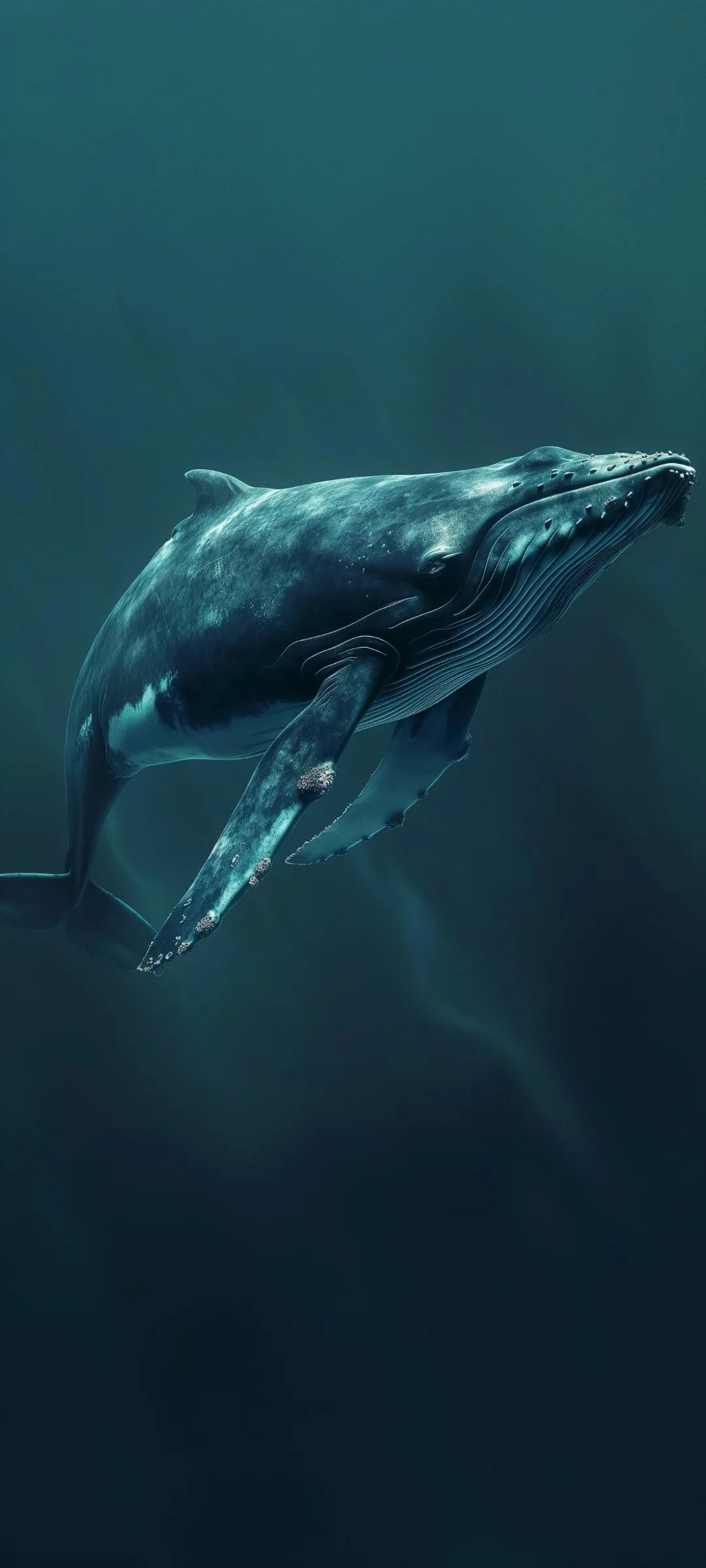 Underwater Whale Swimming in Deep Blue Ocean Scene
