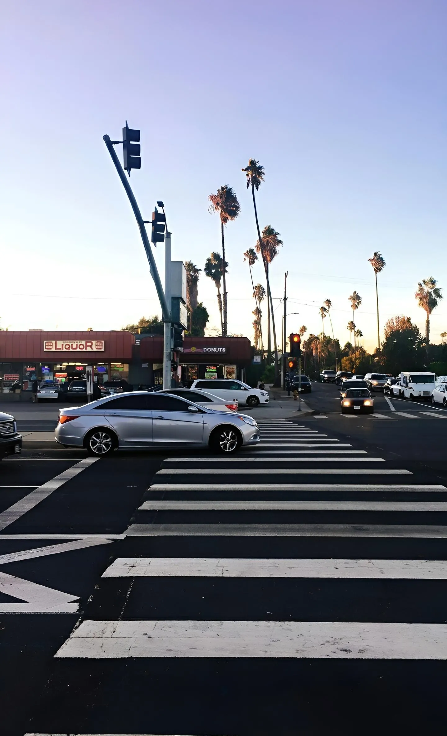 Urban Street View with Palm Trees and Sunset Glow Wallpaper