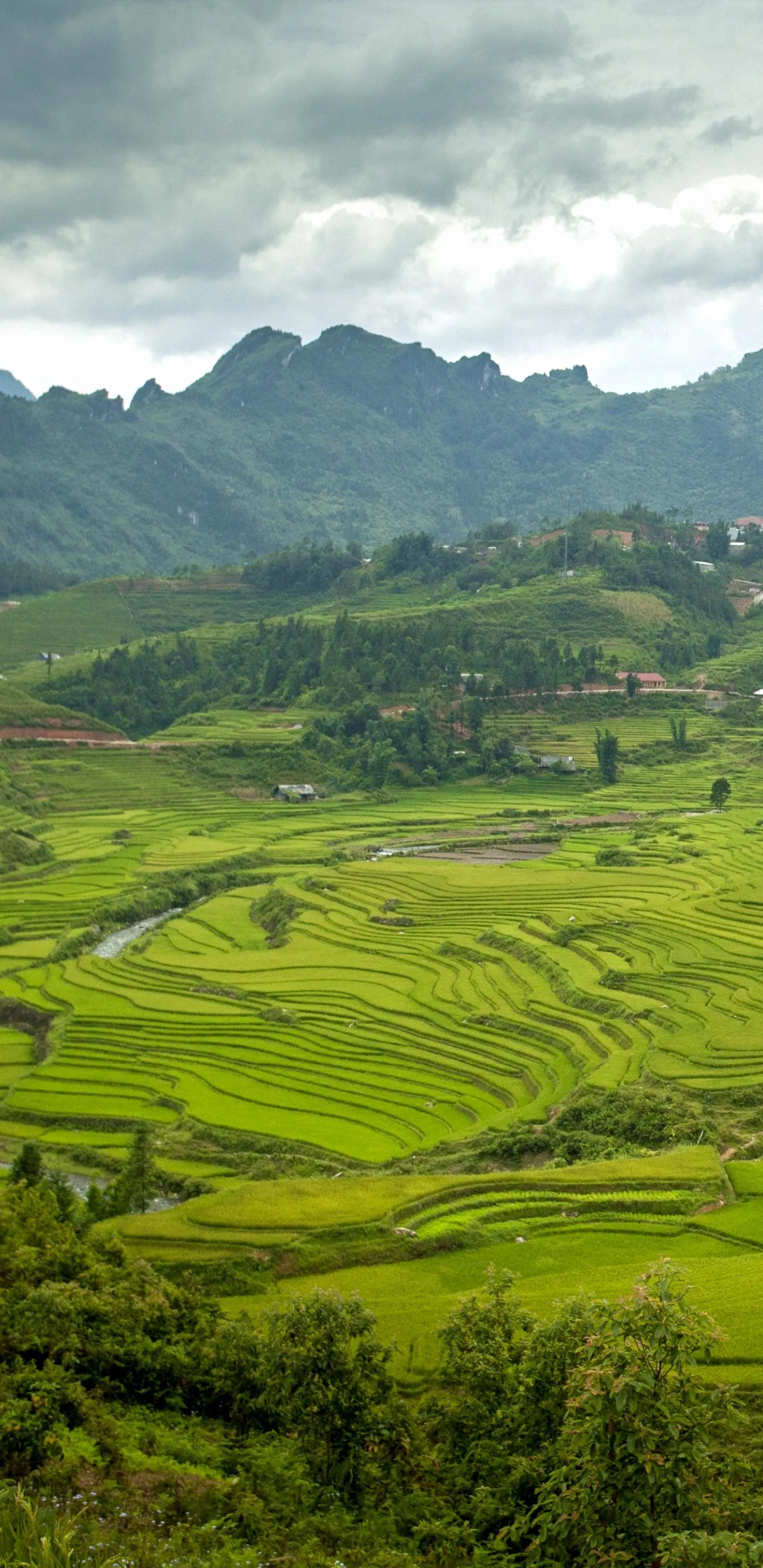 Verdant Hills with Lush Green Terraces and Scenic Horizon