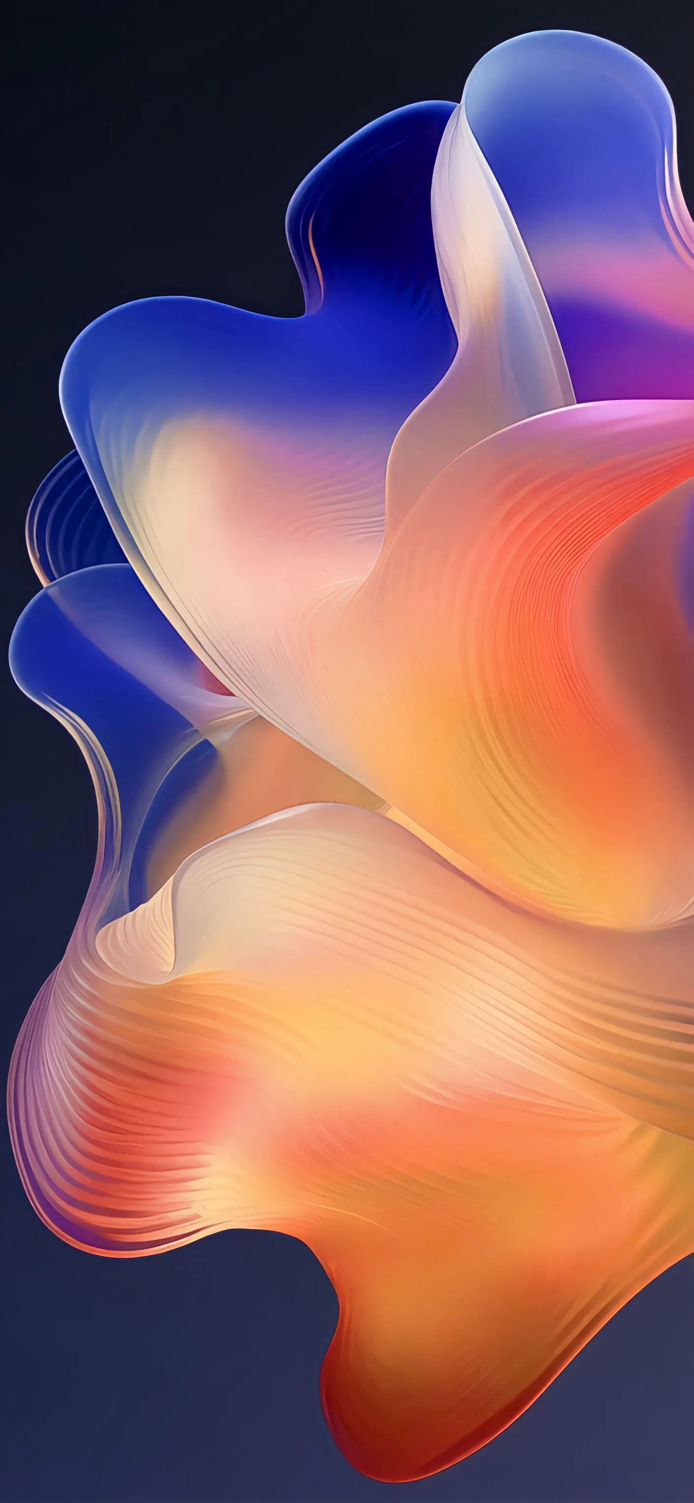 Vibrant 3D Flower Blooming Orange Blue Petal Wallpaper