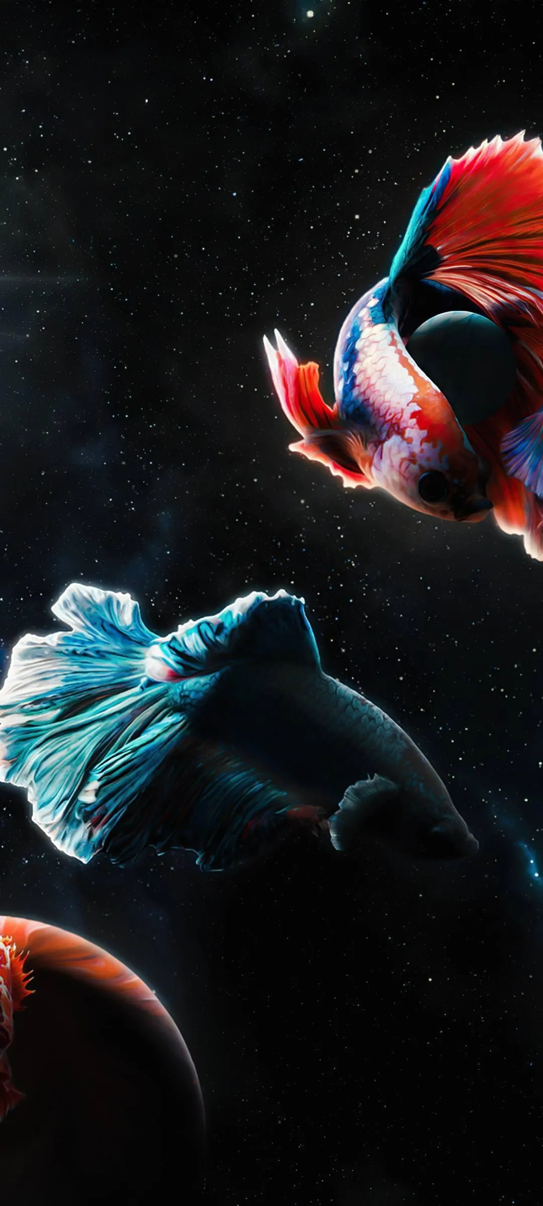 Vibrant Betta Fish Floating Gracefully in Outer Space