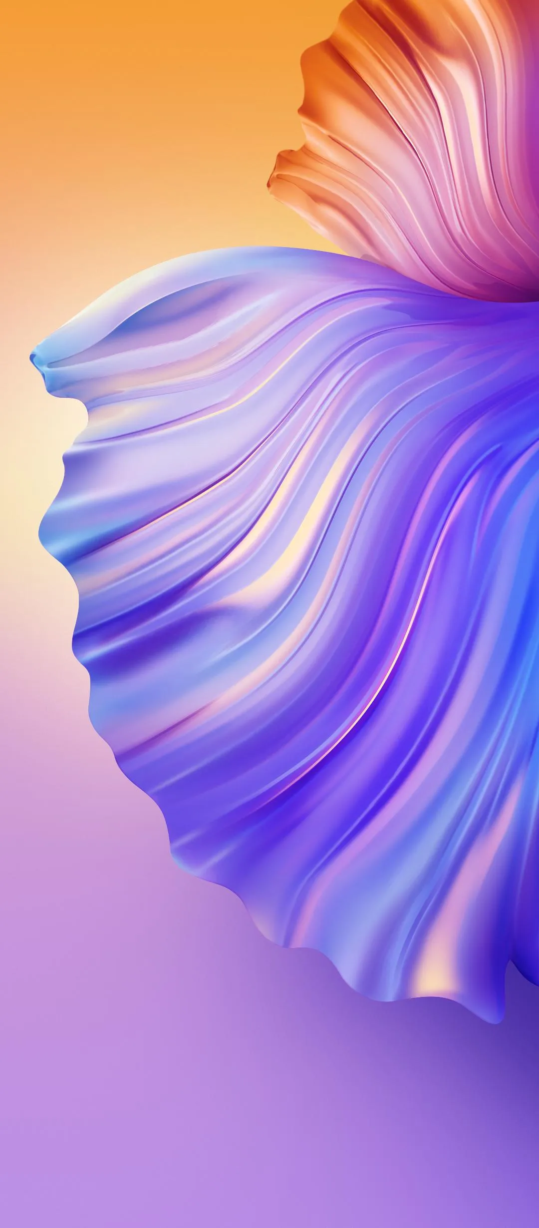 Vibrant Betta Fish with Flowing Fins in Soft Light Wallpaper