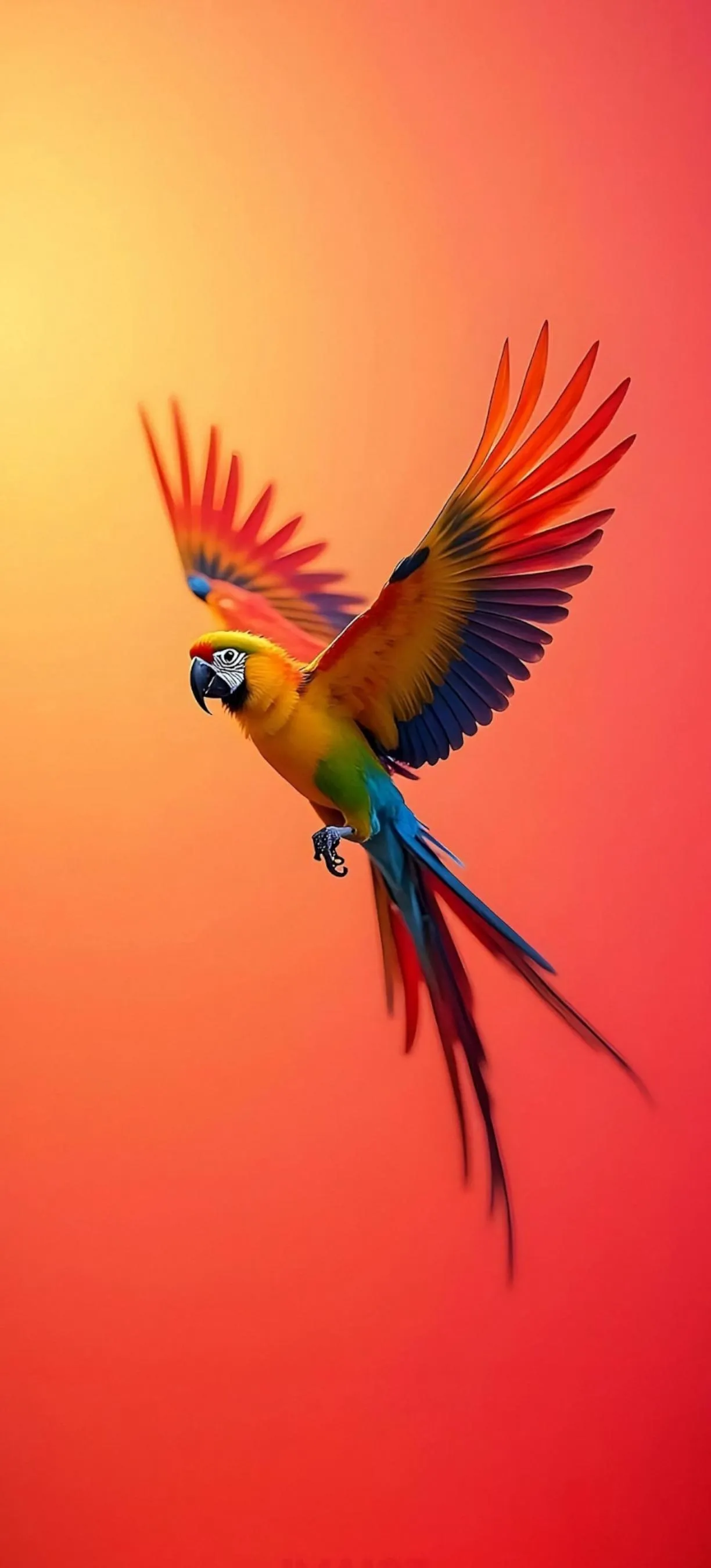 Vibrant Parrot Flying in Orange Sky Background Wallpaper