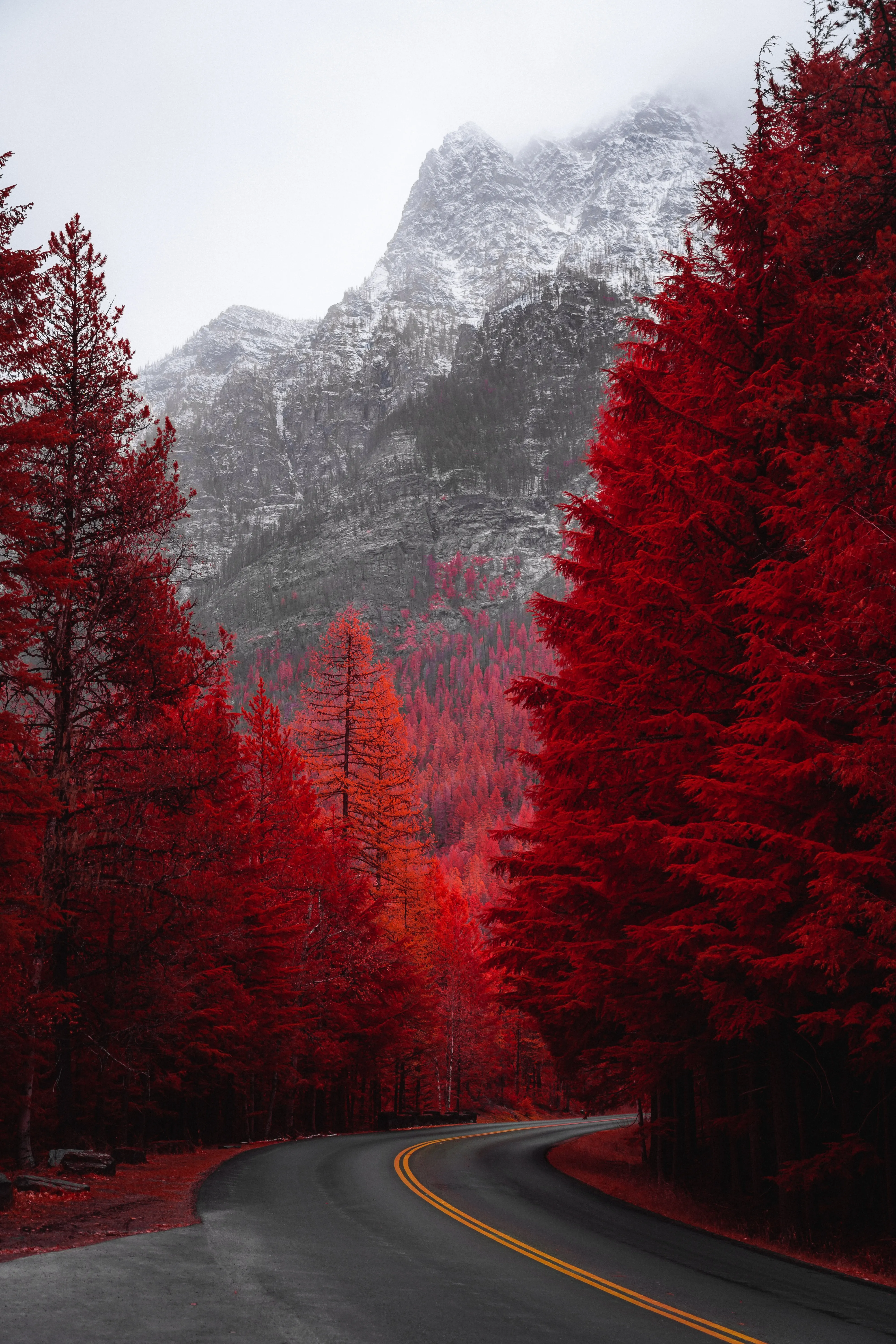 Vibrant Red Forest Drive Through Mountains Wallpaper