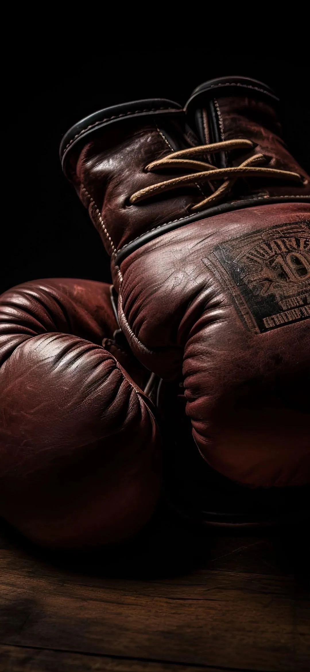Vintage Boxing Gloves Hanging in Soft Warm Lighting