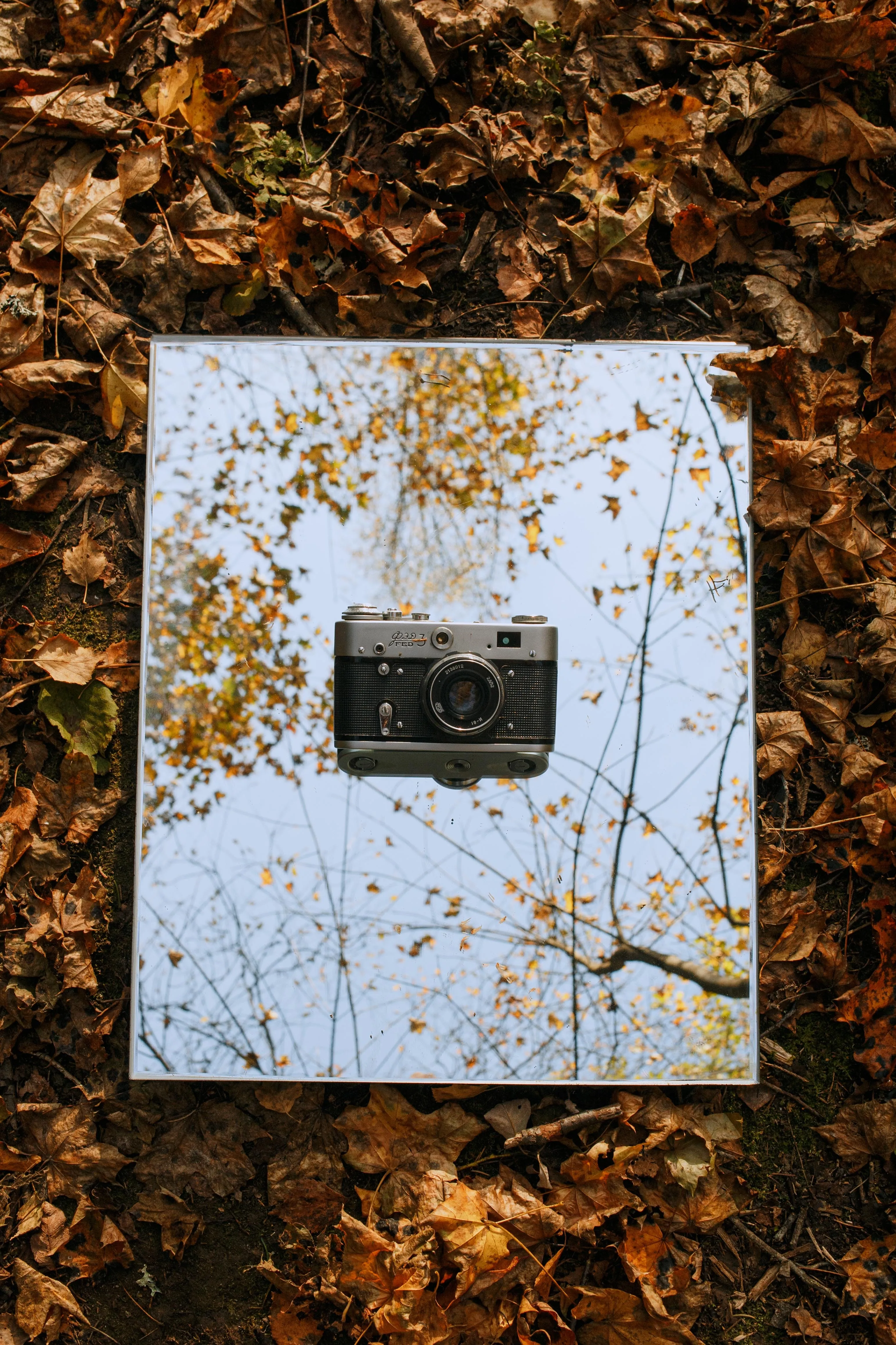 Vintage Camera Reflection Among Autumn Fallen Leaves