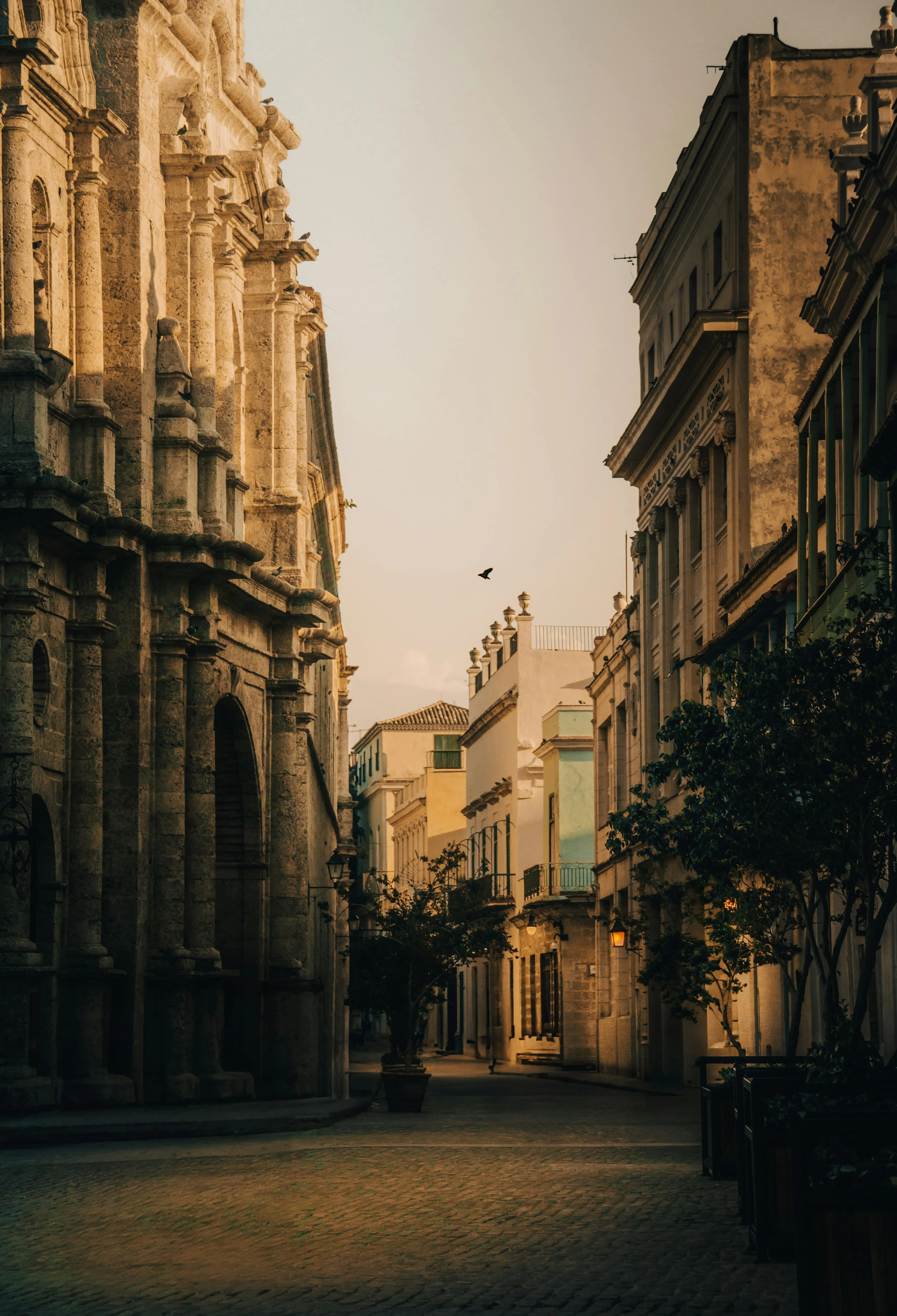 Vintage European Alley Street for Rustic Mobile Background
