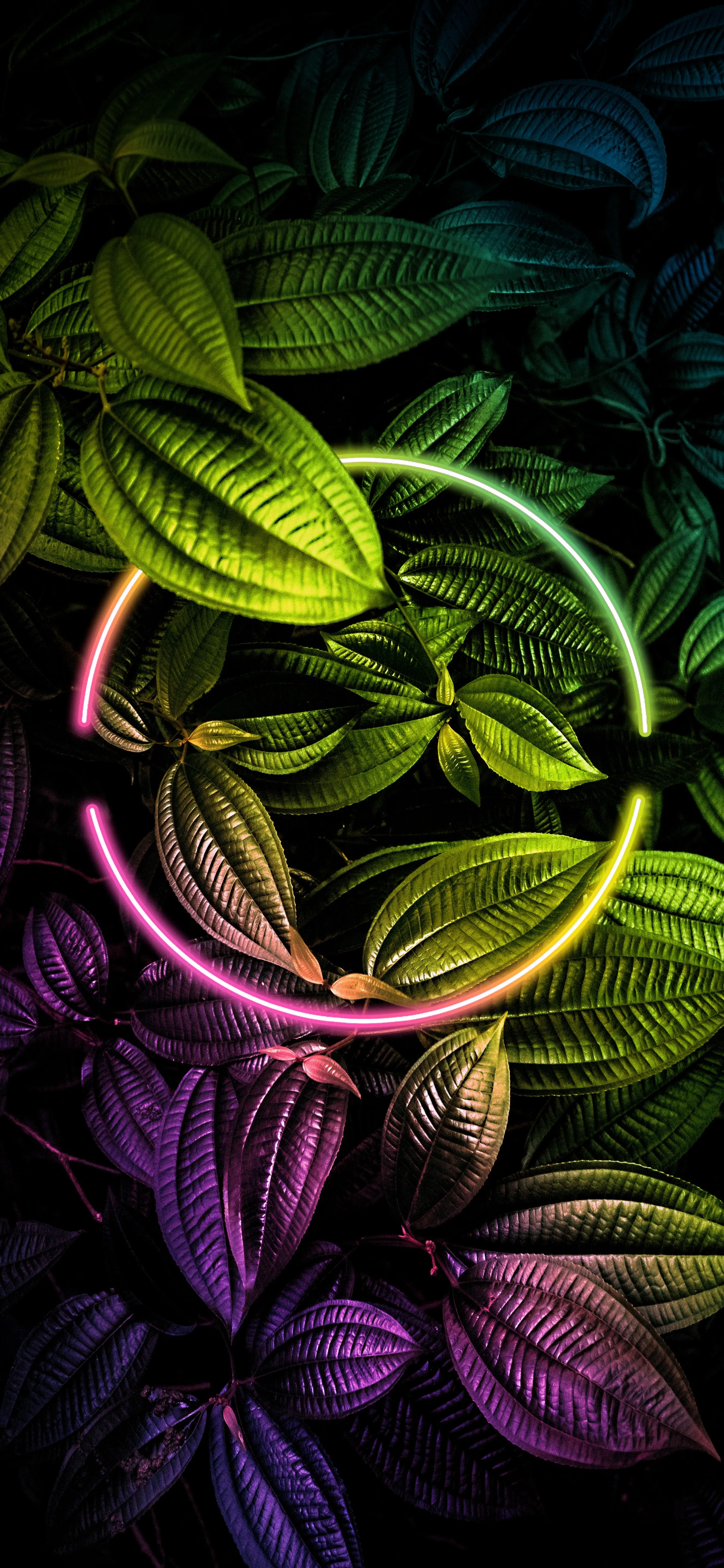 Vivid Colorful Threads for Artistic and Abstract Mobile Use