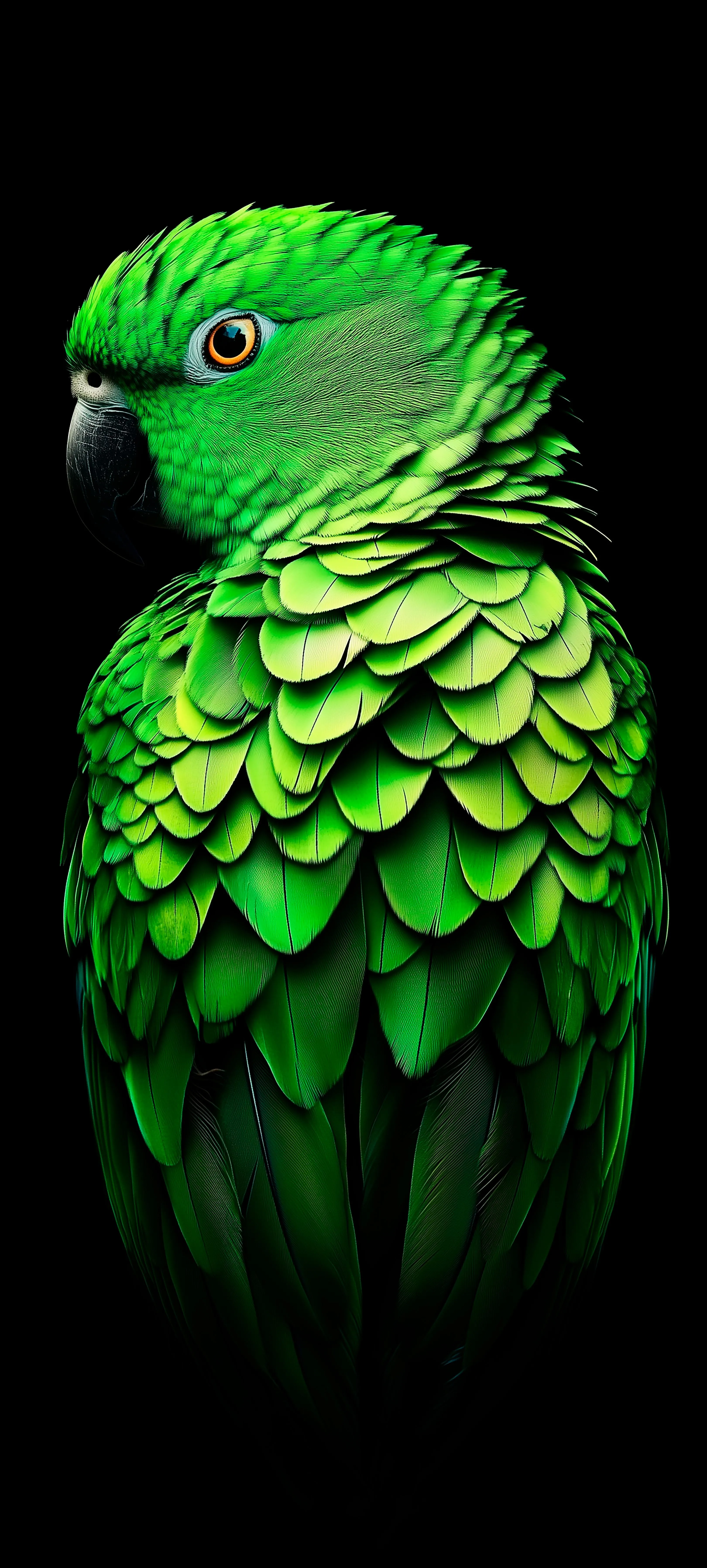 Vivid Green Parrot with Detailed Feather Texture Wallpaper