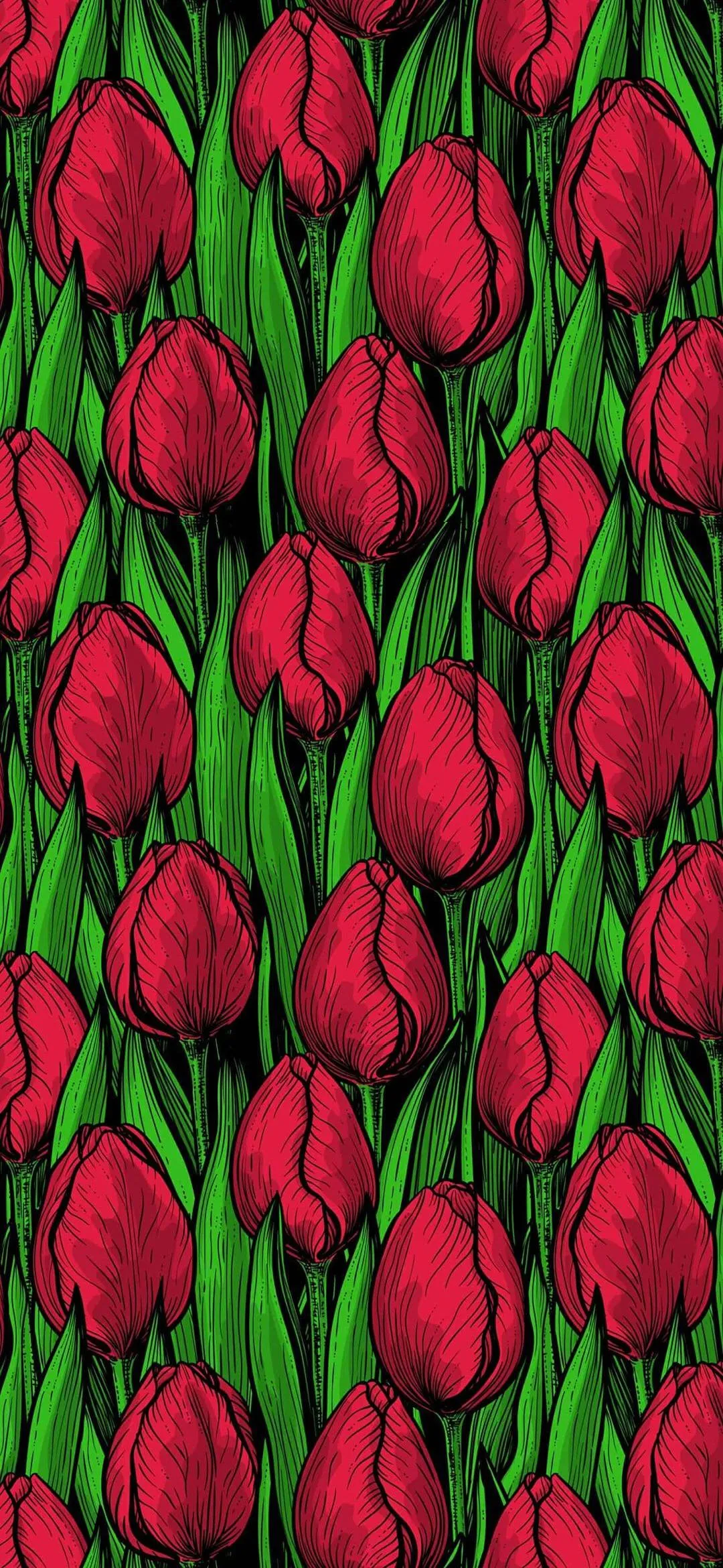 Vivid Red Tulips Floral Artistic Iphone Mobile Wallpaper