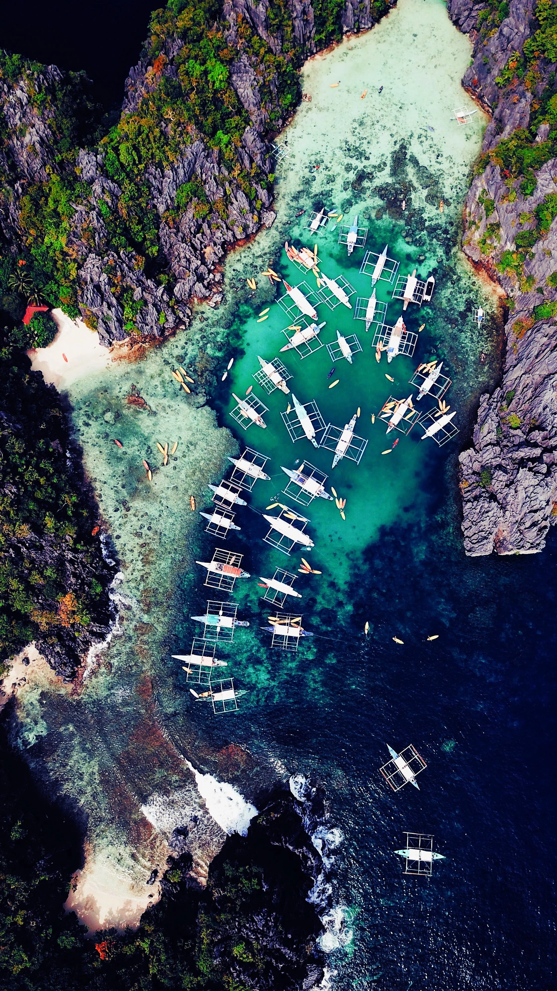 Wallpaper of Tropical Island Waters with Crystal Clear Ocean