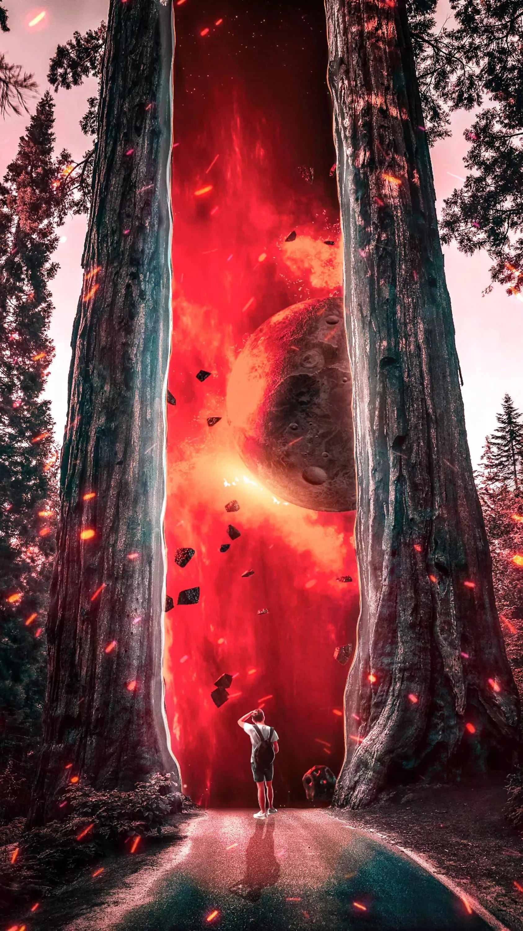 Wanderer Confronts Cosmic Rift Between Ancient Trees Ahead