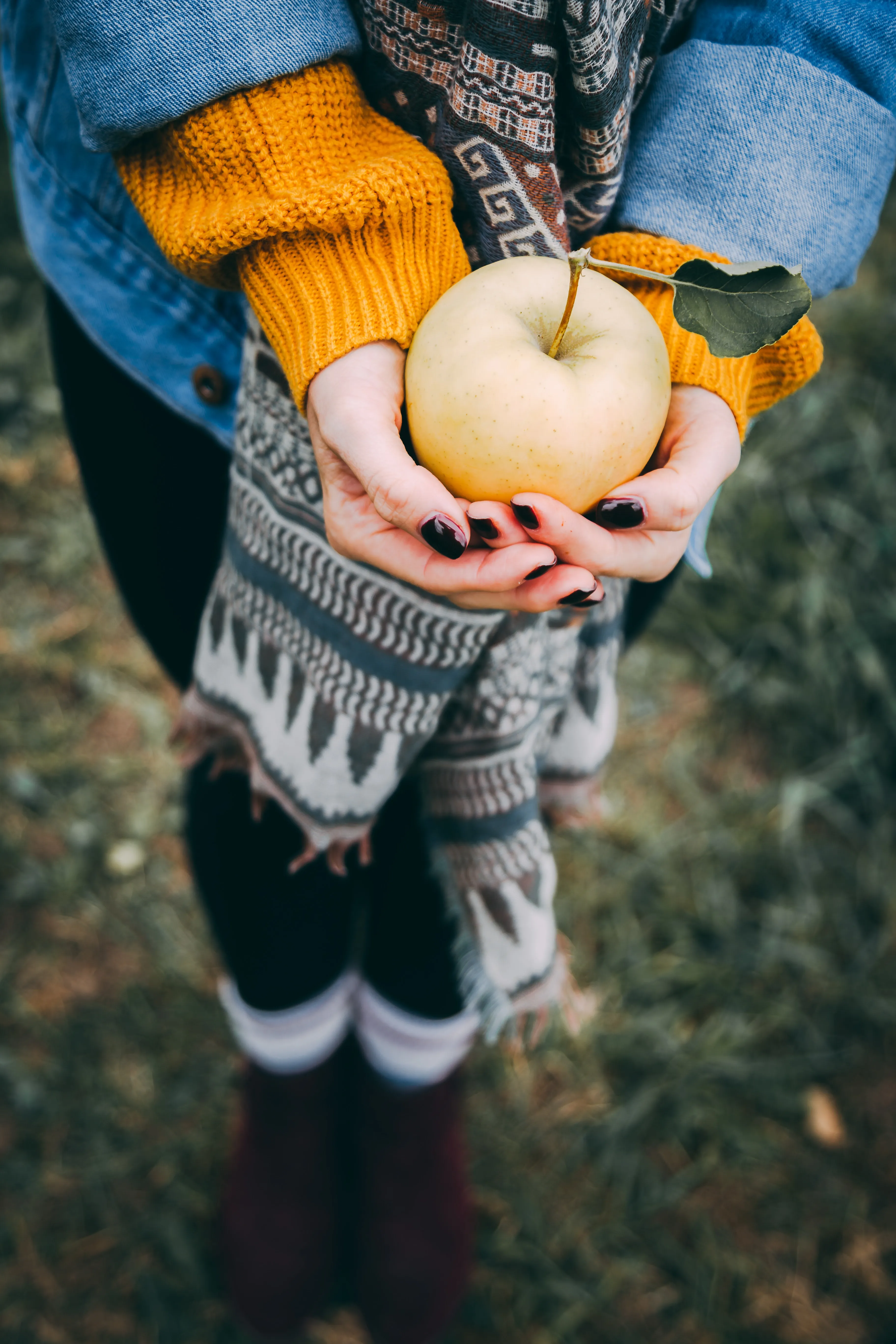 Warm Autumn Moment Holding a Fresh Golden Apple Wallpaper