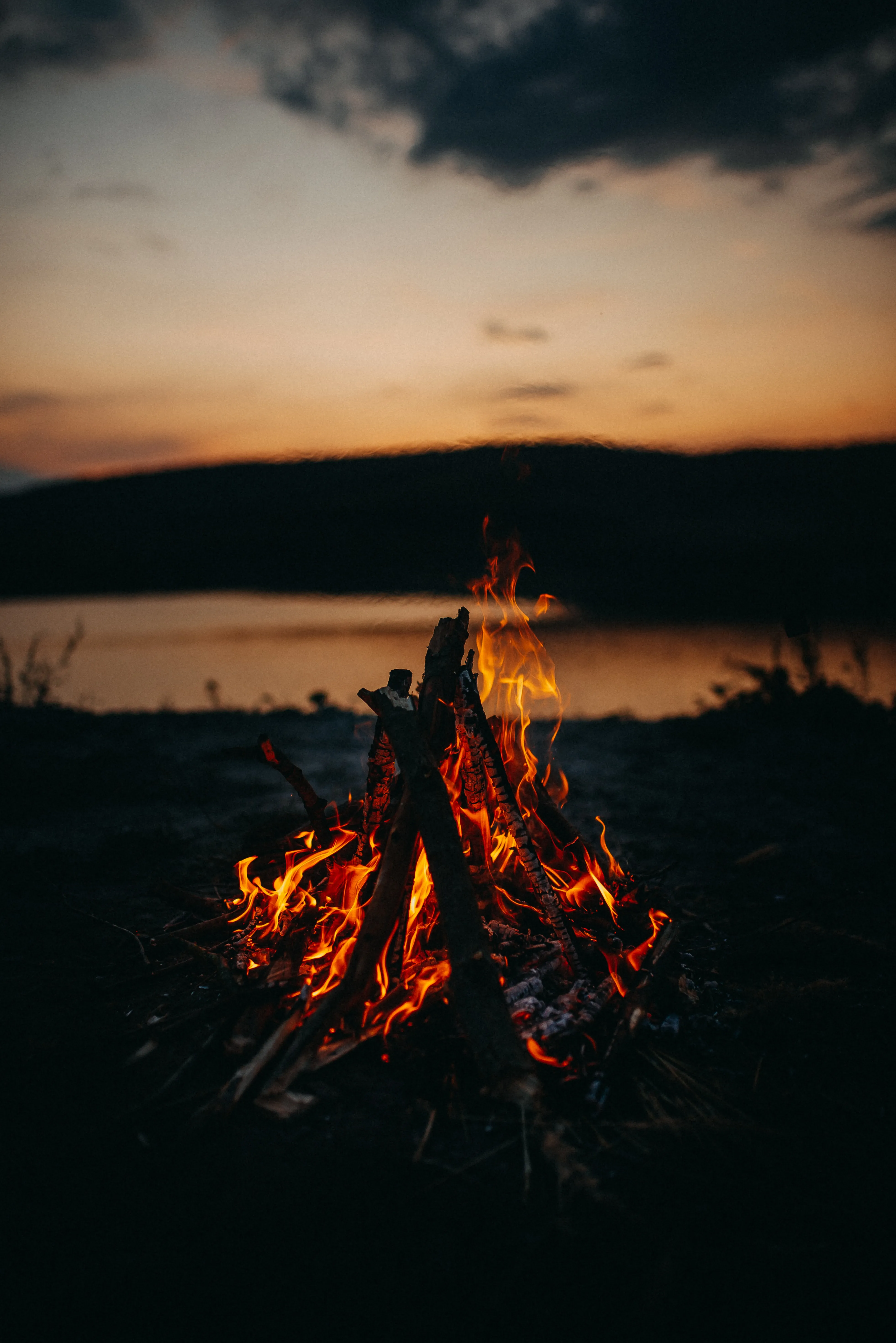 Warm Campfire on the Beach at Golden Hour HD Image