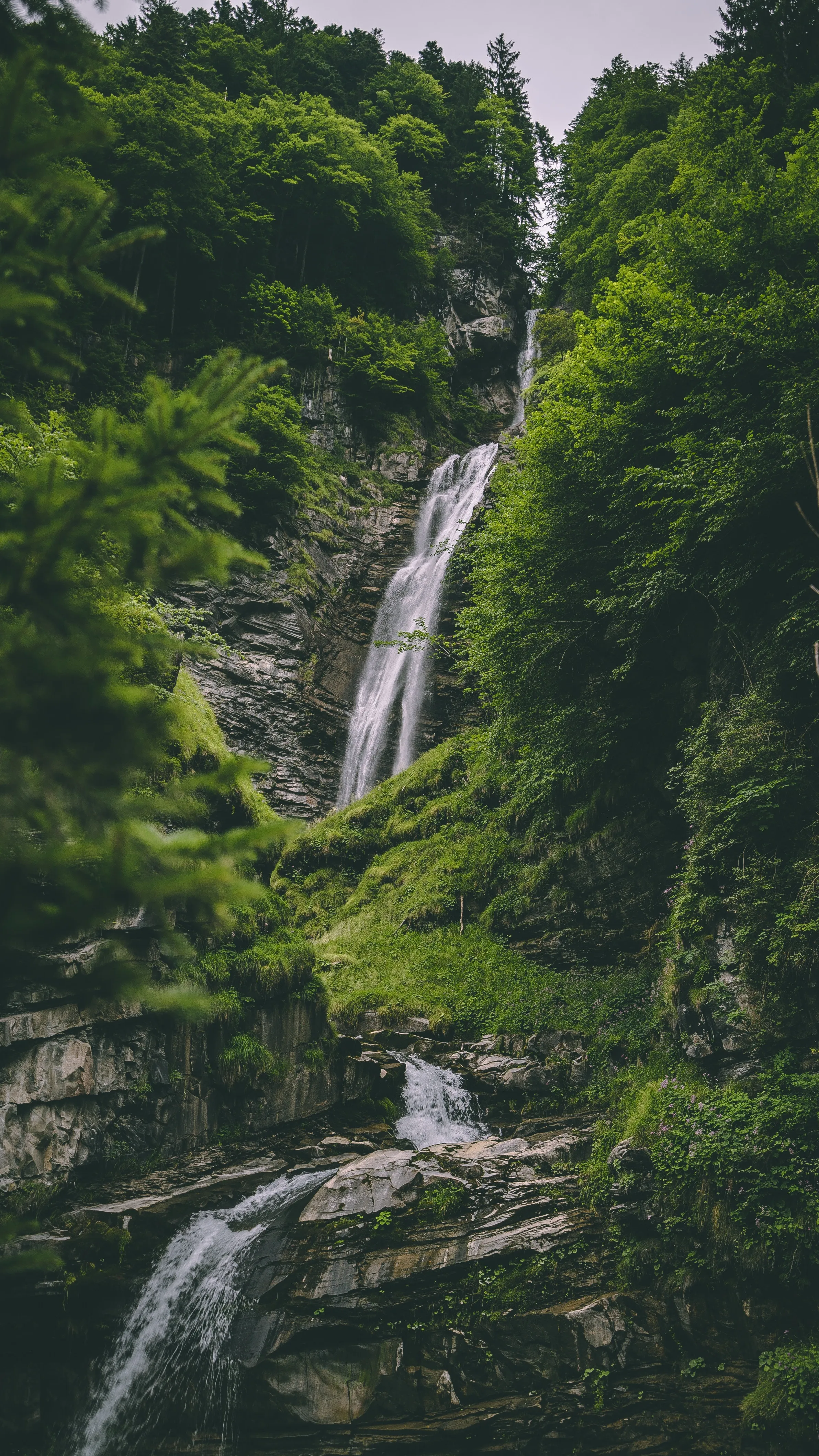 Waterfall Cascading in Green Forest for Phone Display