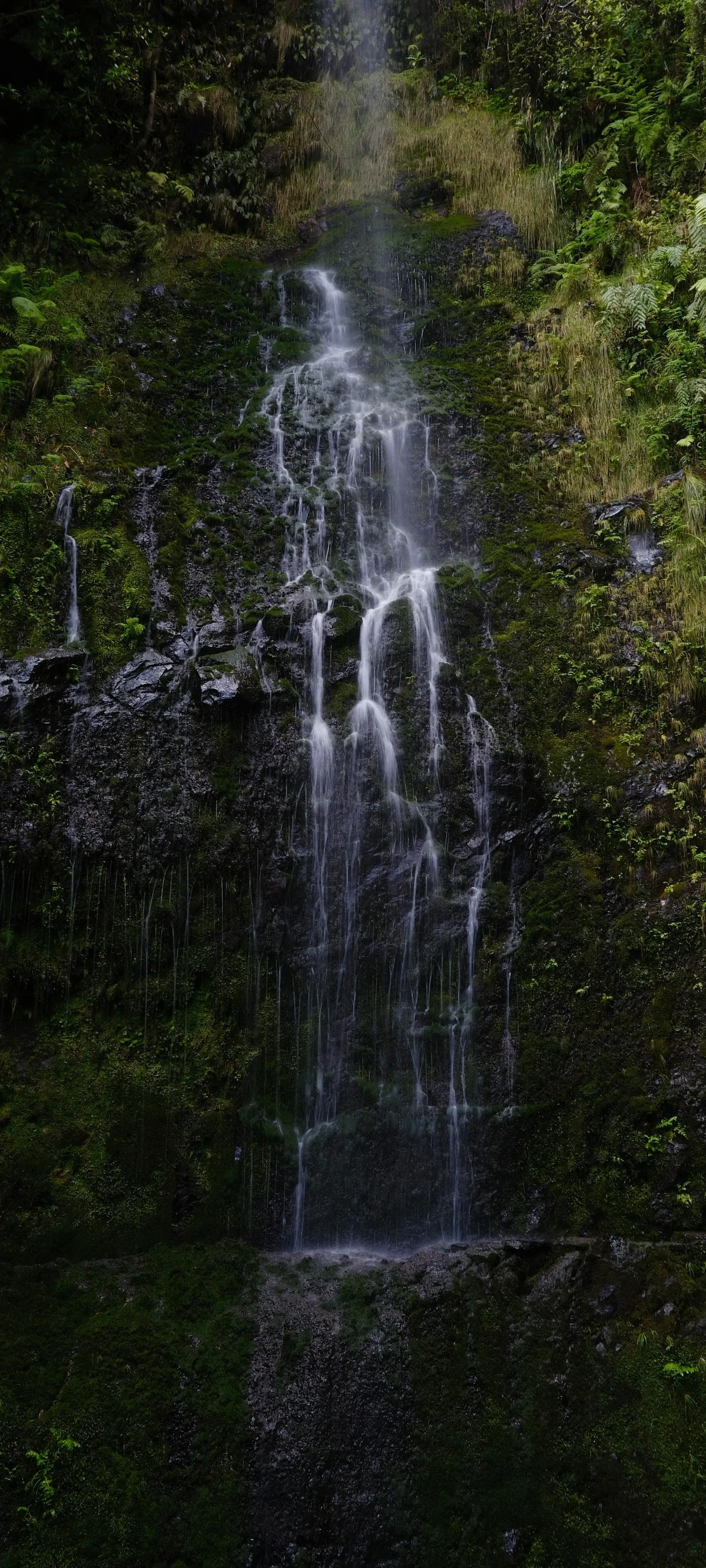Waterfall Falling into Green Mossy Forest Ravine Image