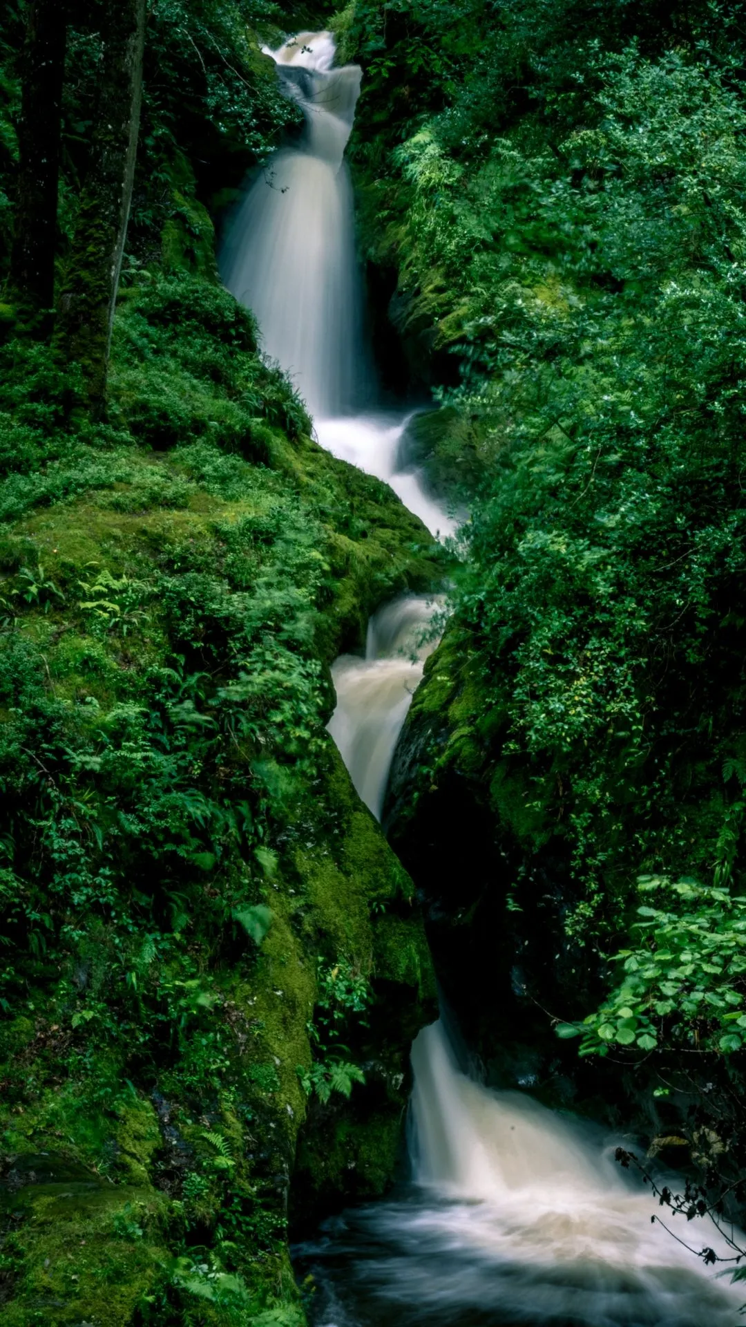 Waterfall Flowing in Green Forest Landscape Wallpaper
