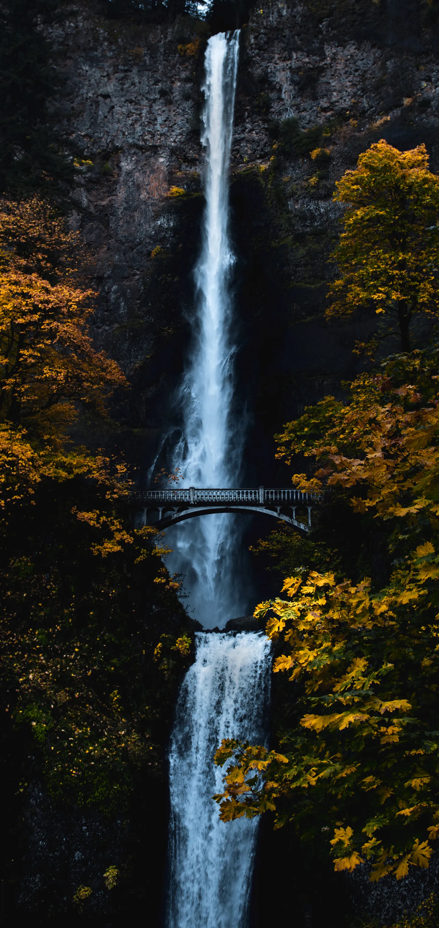Waterfall Flowing Through Autumn Colored Forest Scene