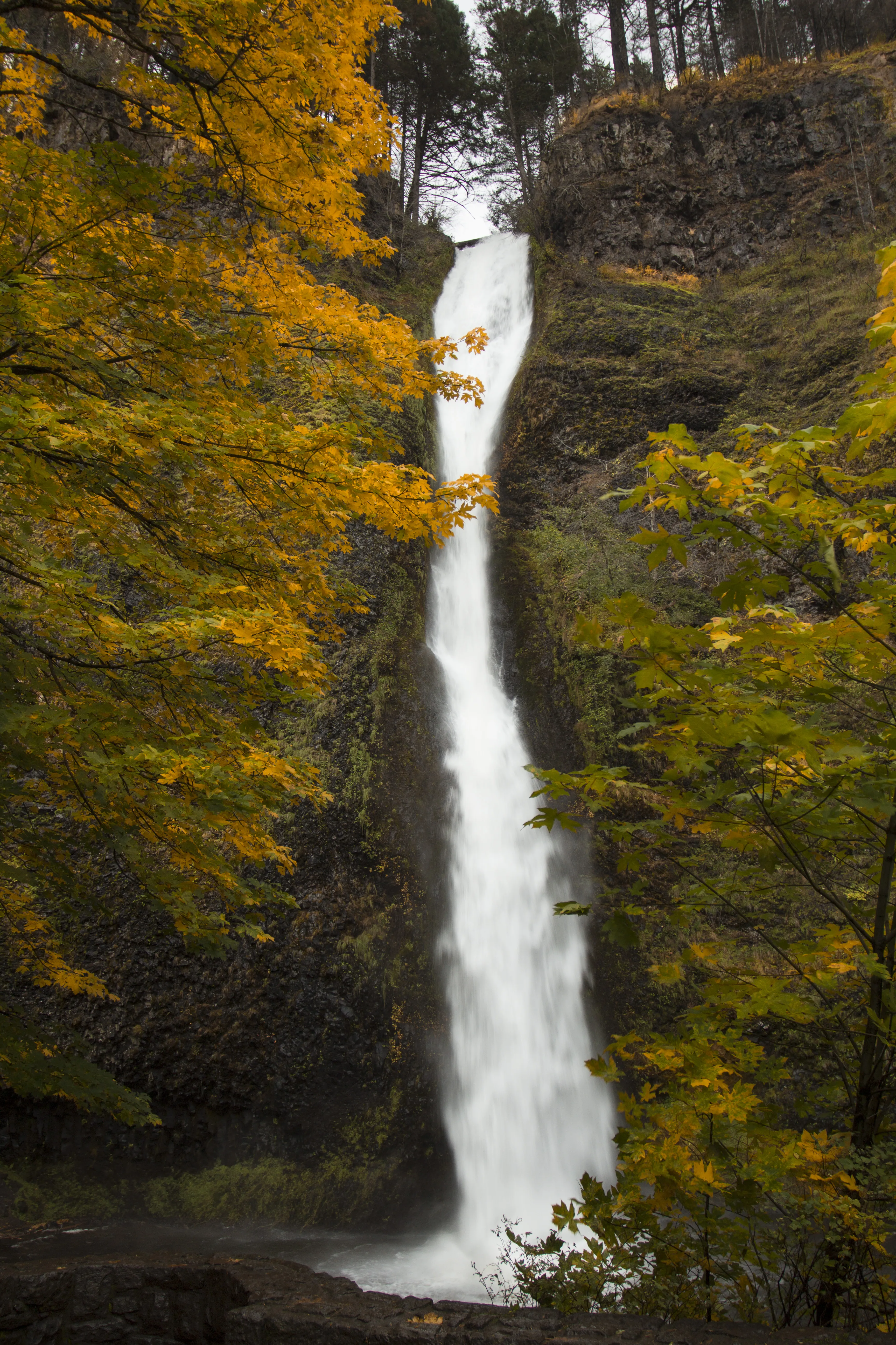 Waterfall Flowing through Autumn Forest Scene Wallpaper