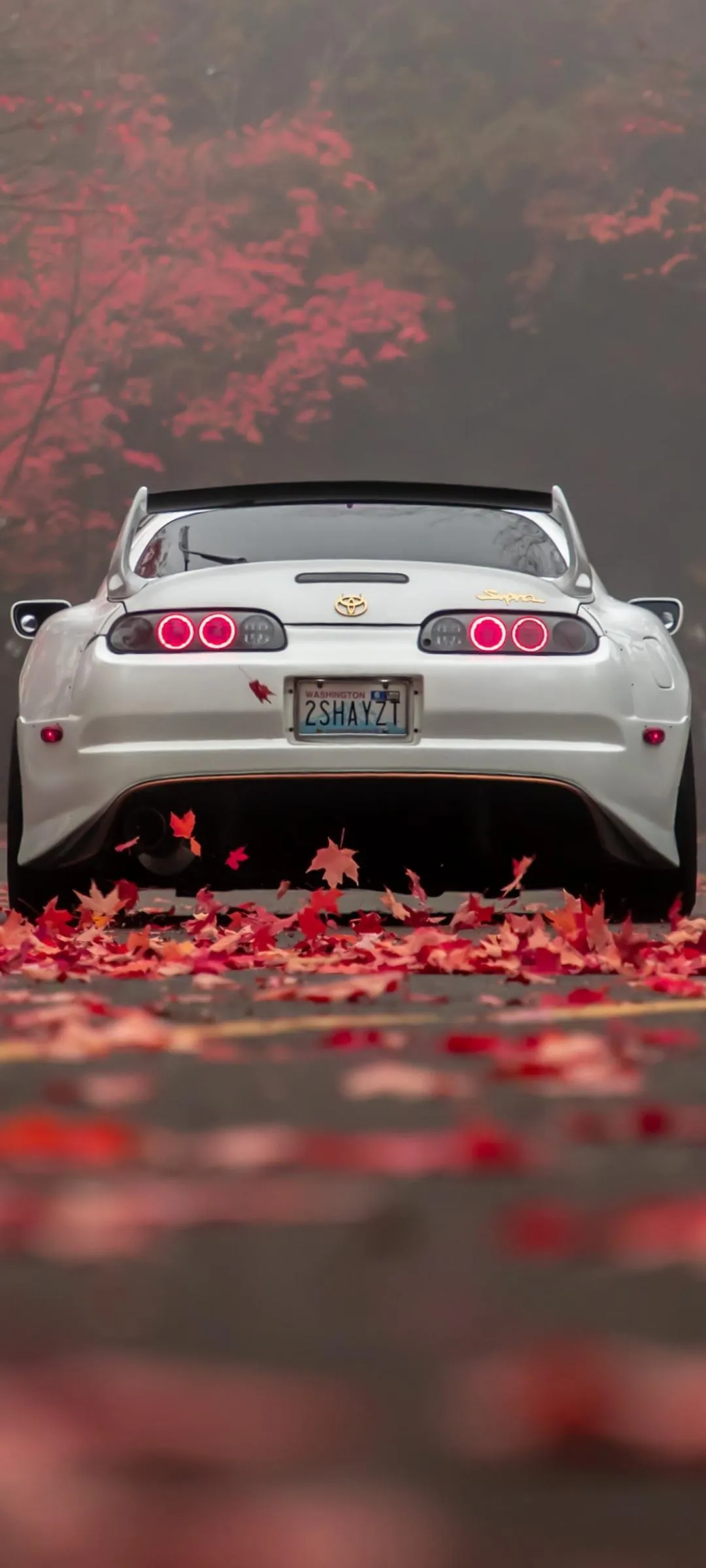 White Car Surrounded by Red Autumn Leaves Scene Wallpaper