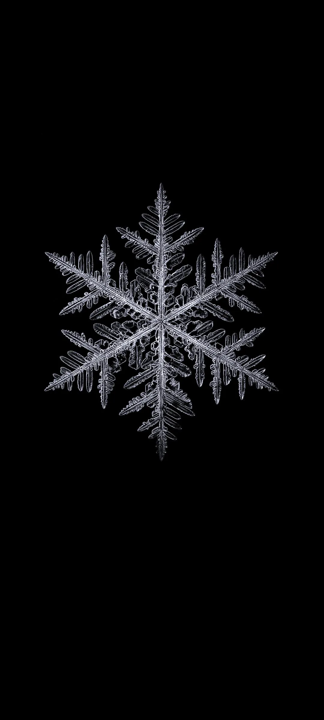 White Snowflake on Black Winter Background Wallpaper