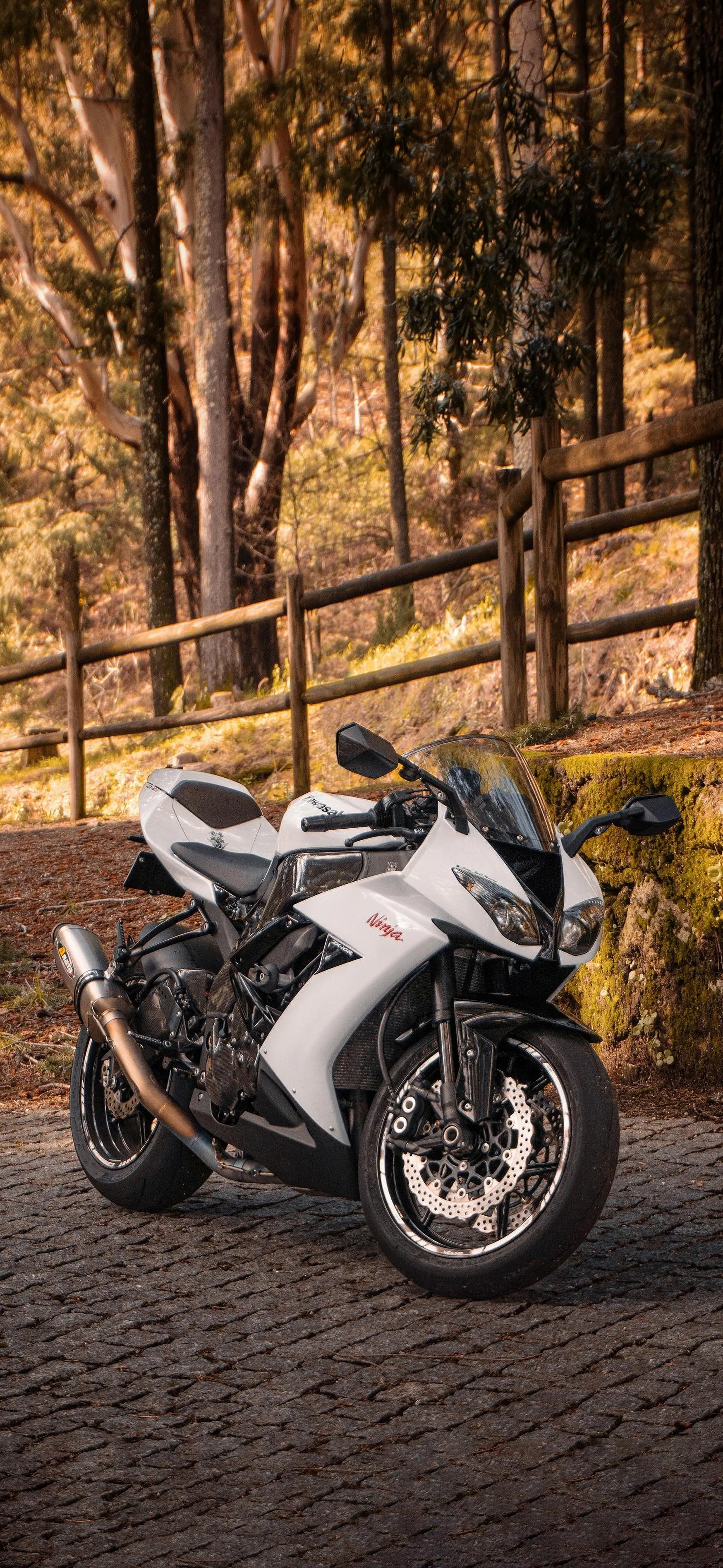 White Sports Bike Parked Beside Autumn Trees in Forest