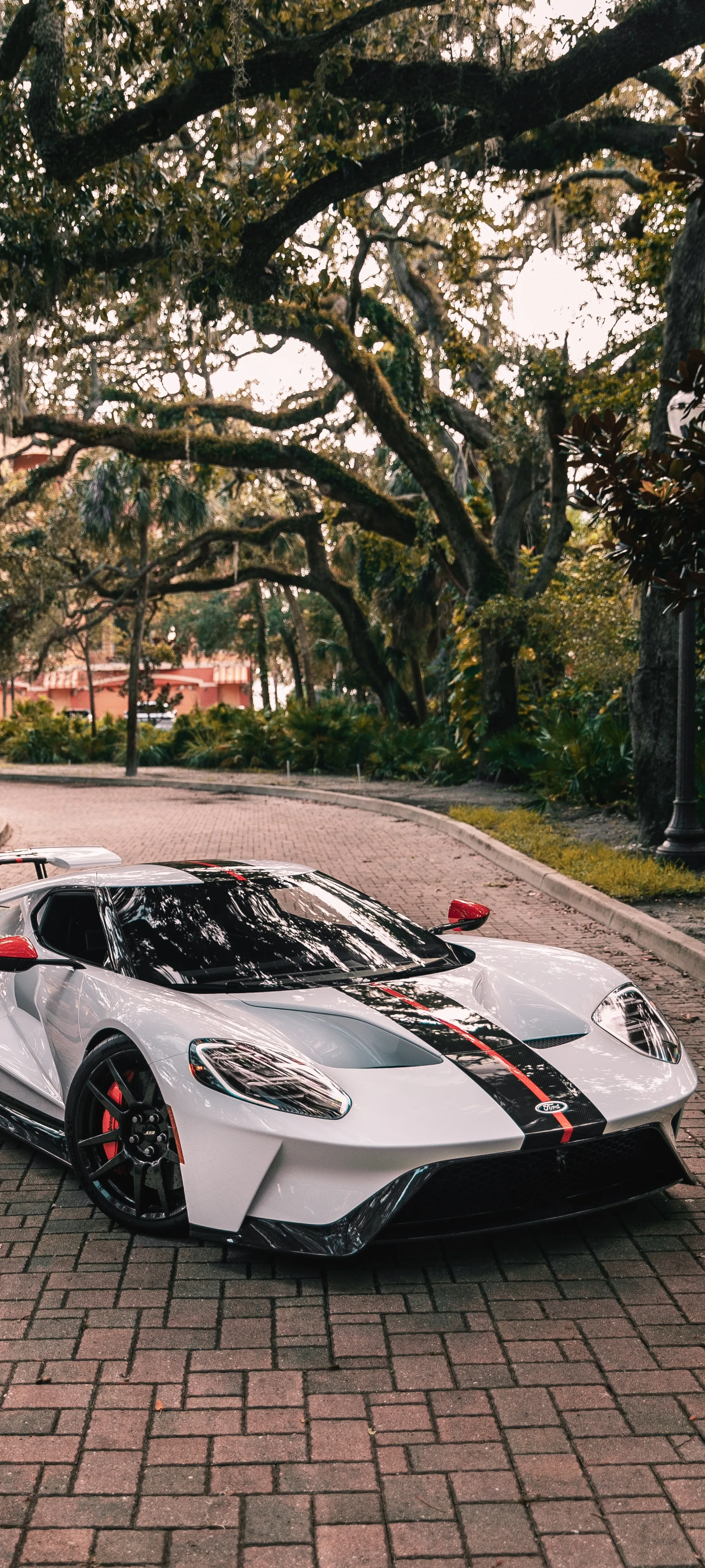 White Supercar Parked Under a Tree in Golden Sunset HD