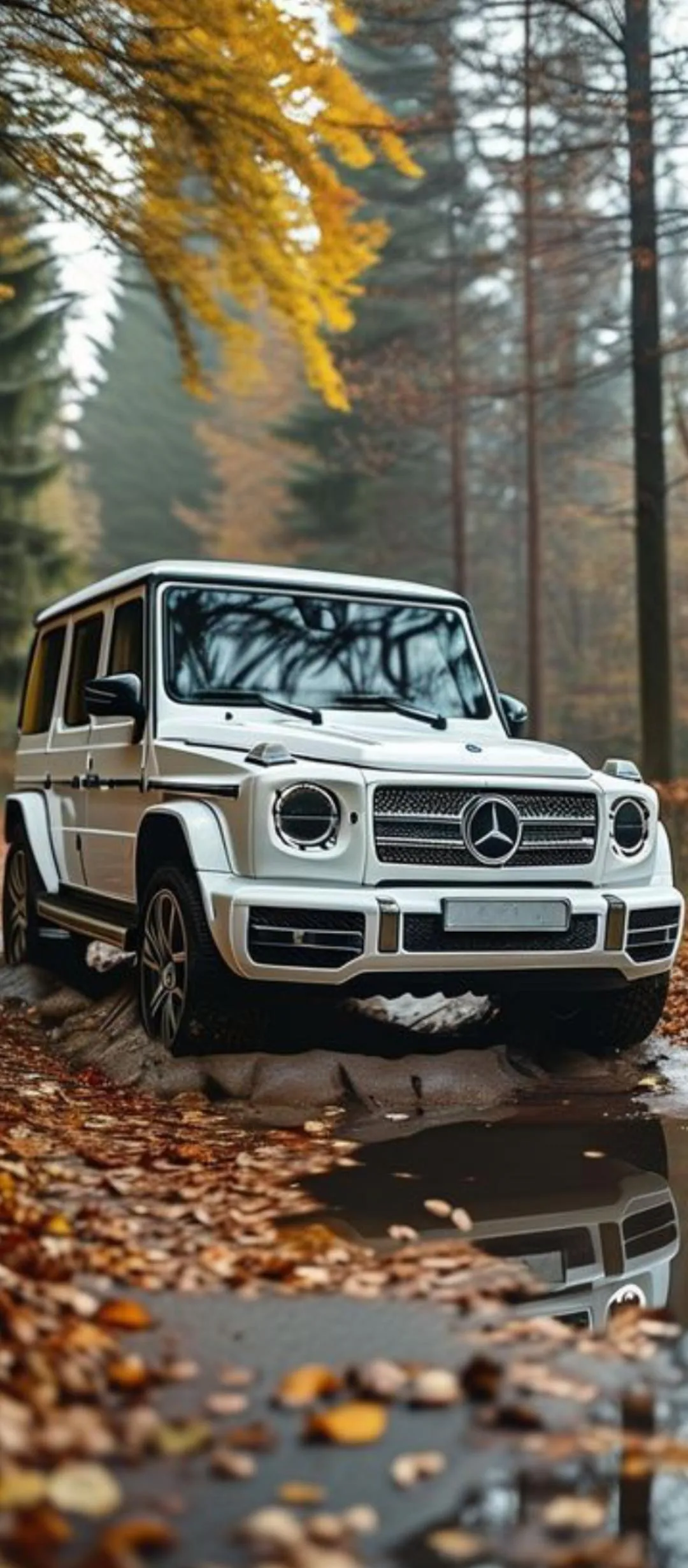 White SUV Driving Through Autumn Forest with Fallen Leaves