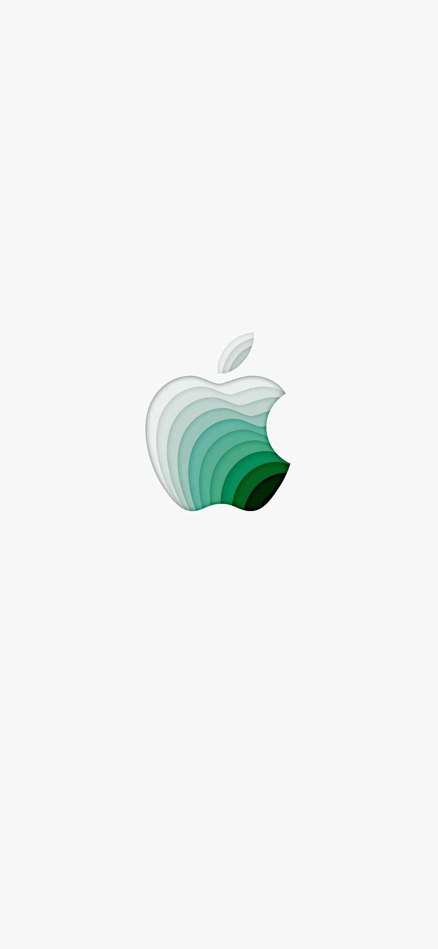 White Wallpaper with Simple Green Apple Design Wallpaper