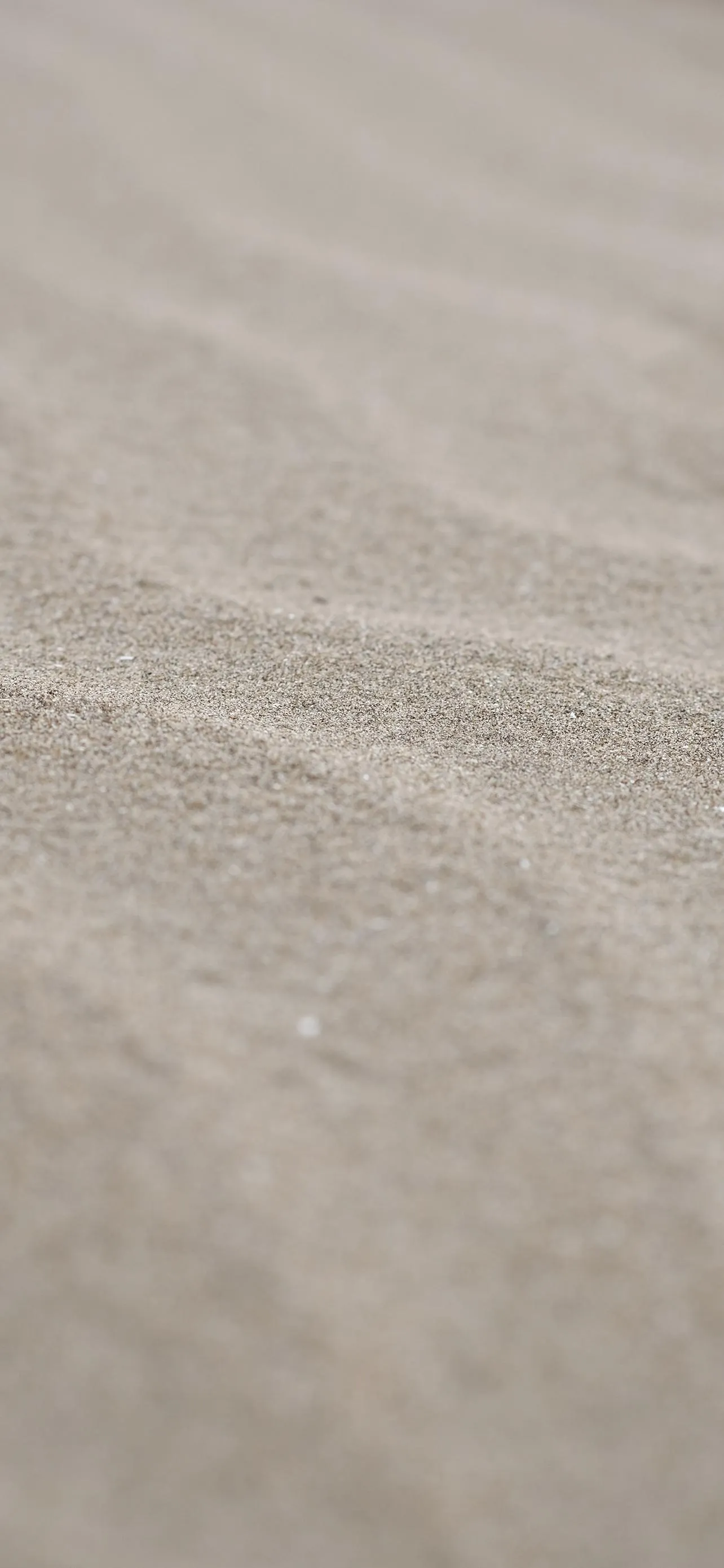 Wind Patterns on Soft Desert Sand Free HD Wallpaper